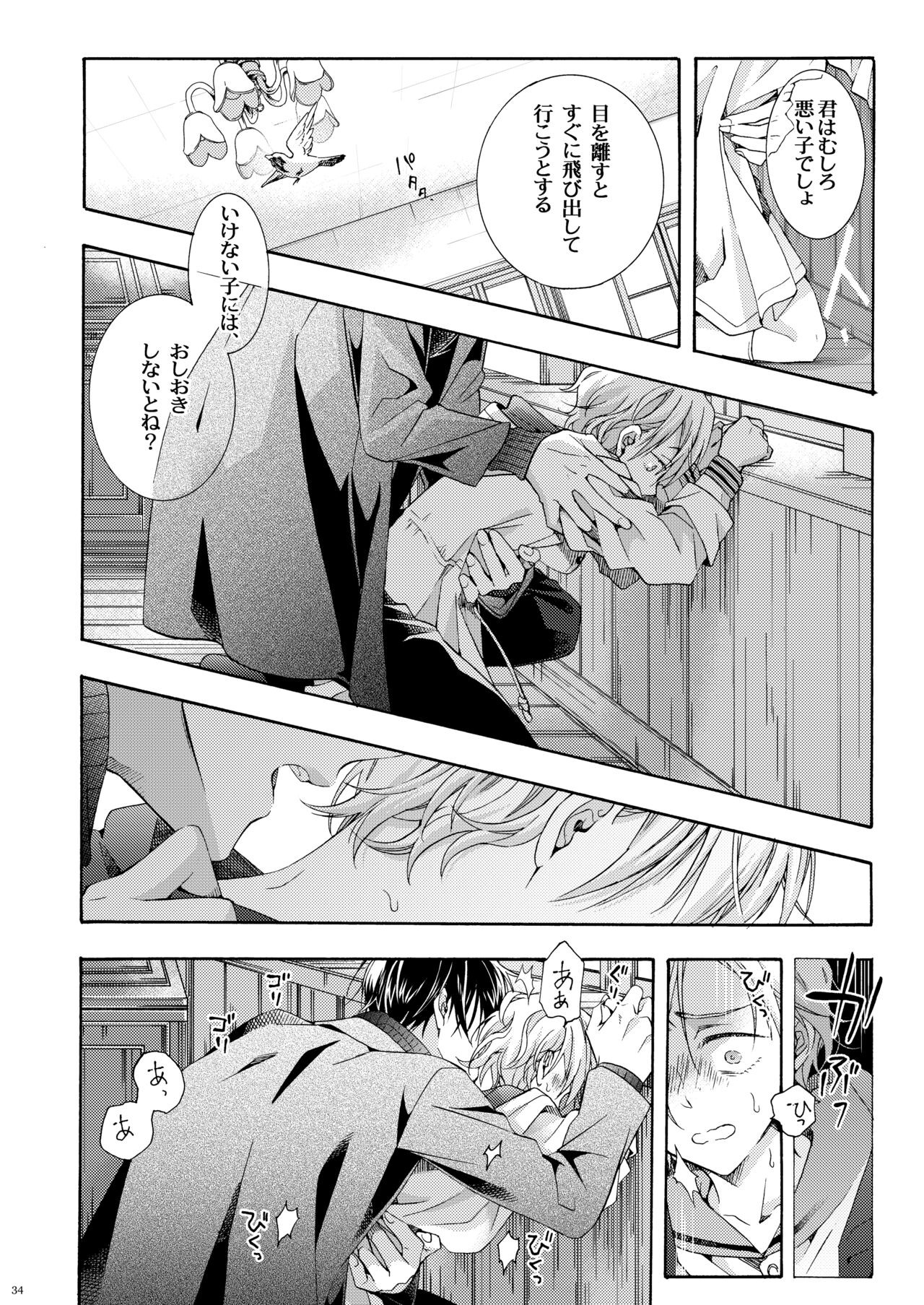 Page 33