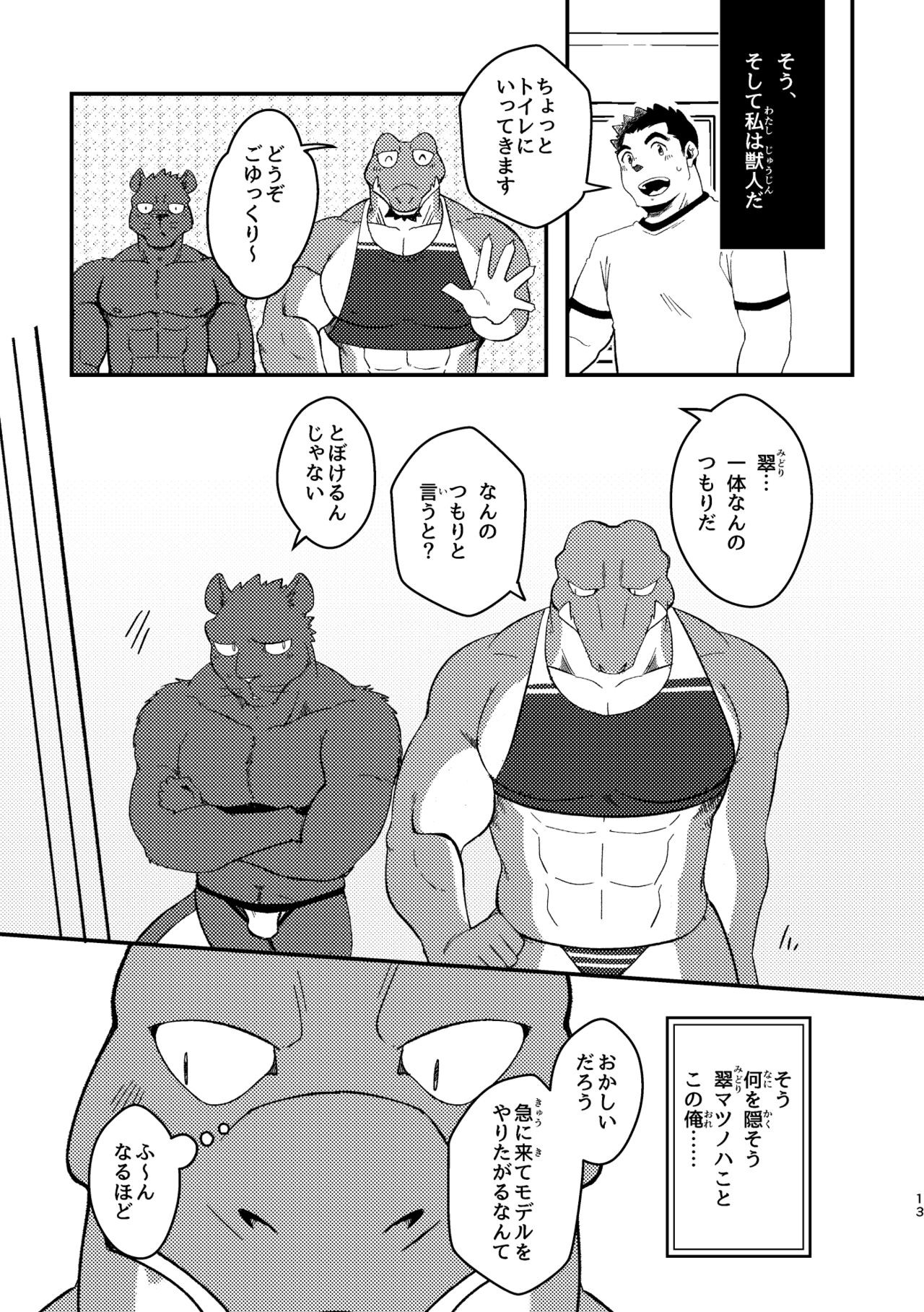 Page 13