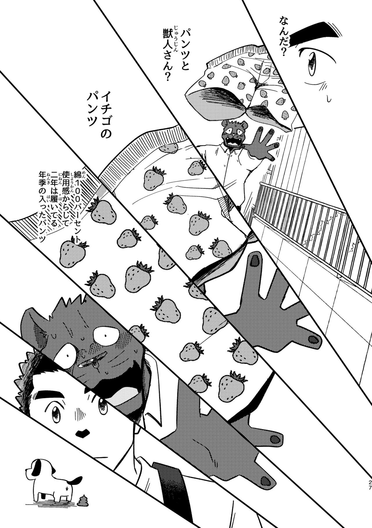 Page 27