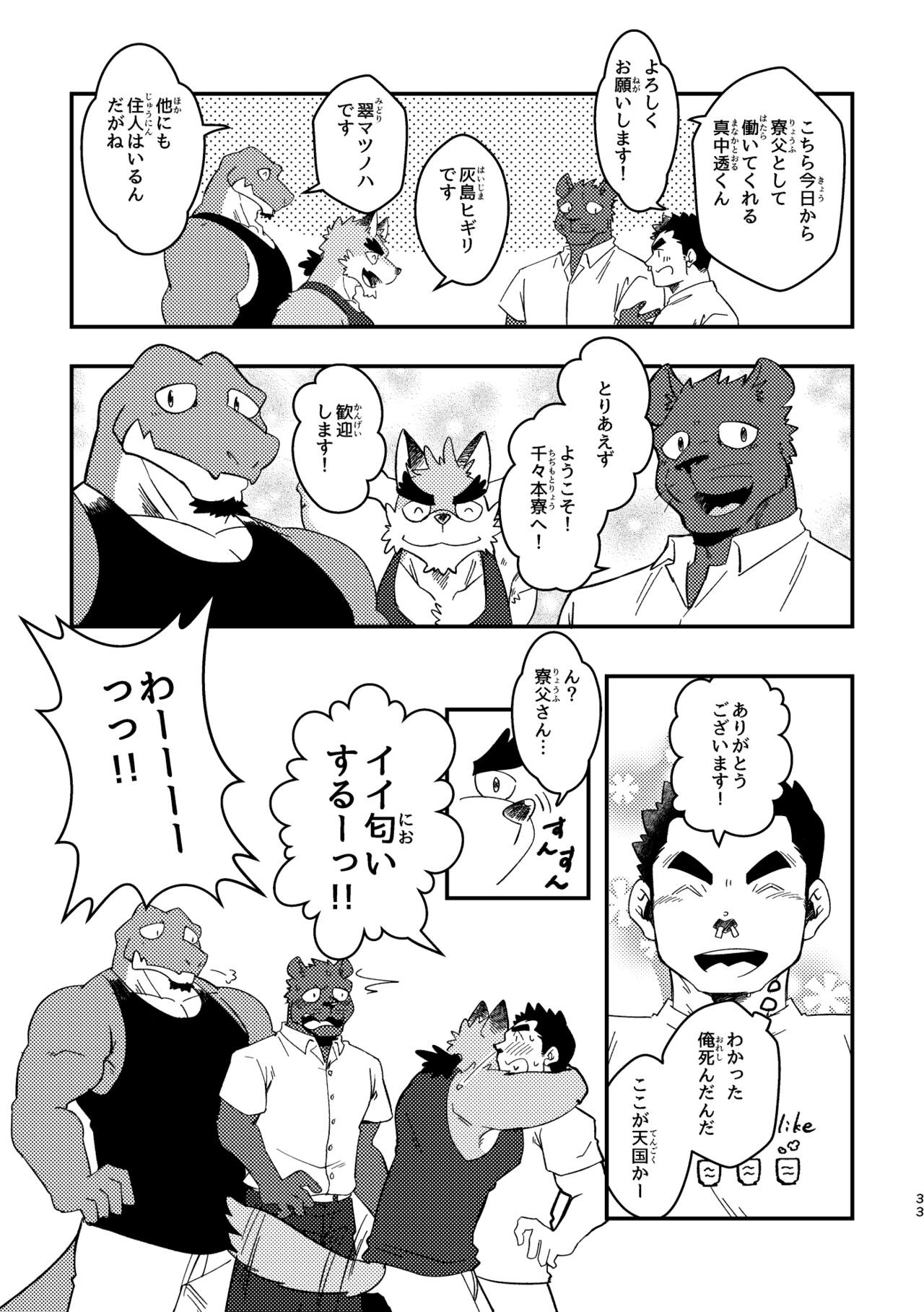 Page 33
