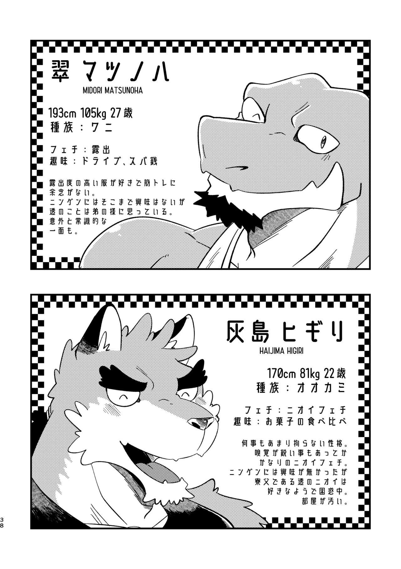 Page 38