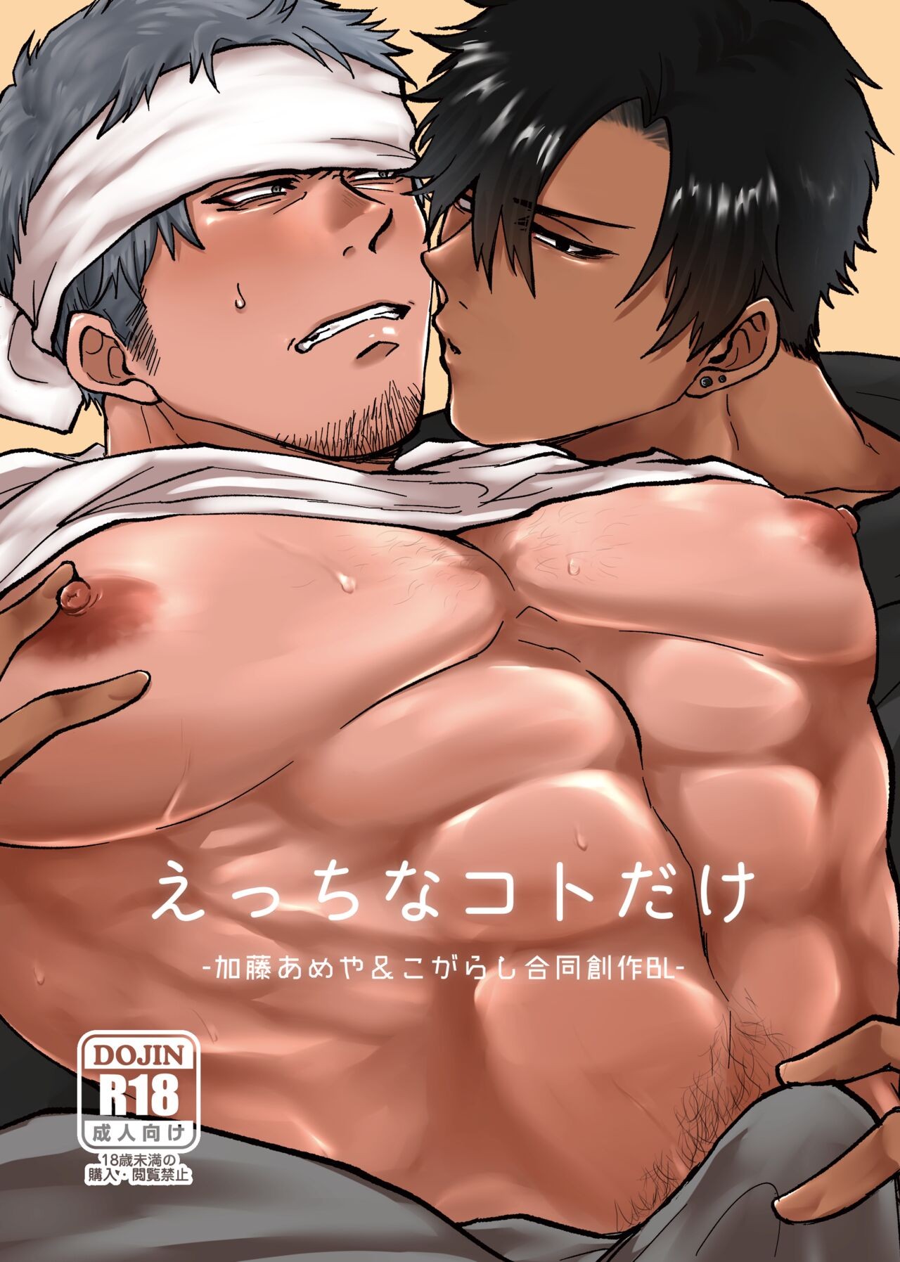 えっちなコトだけ