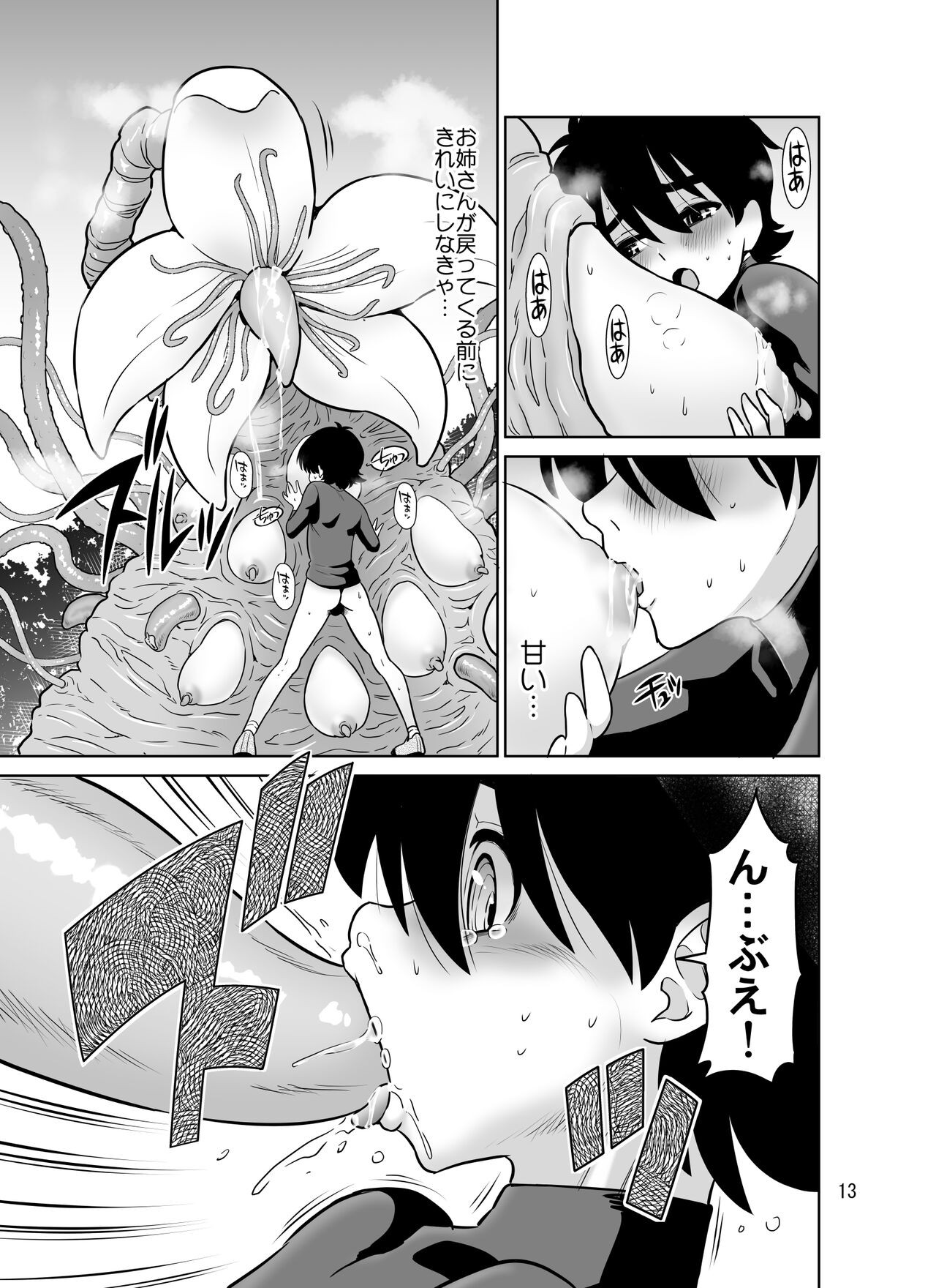 Page 13