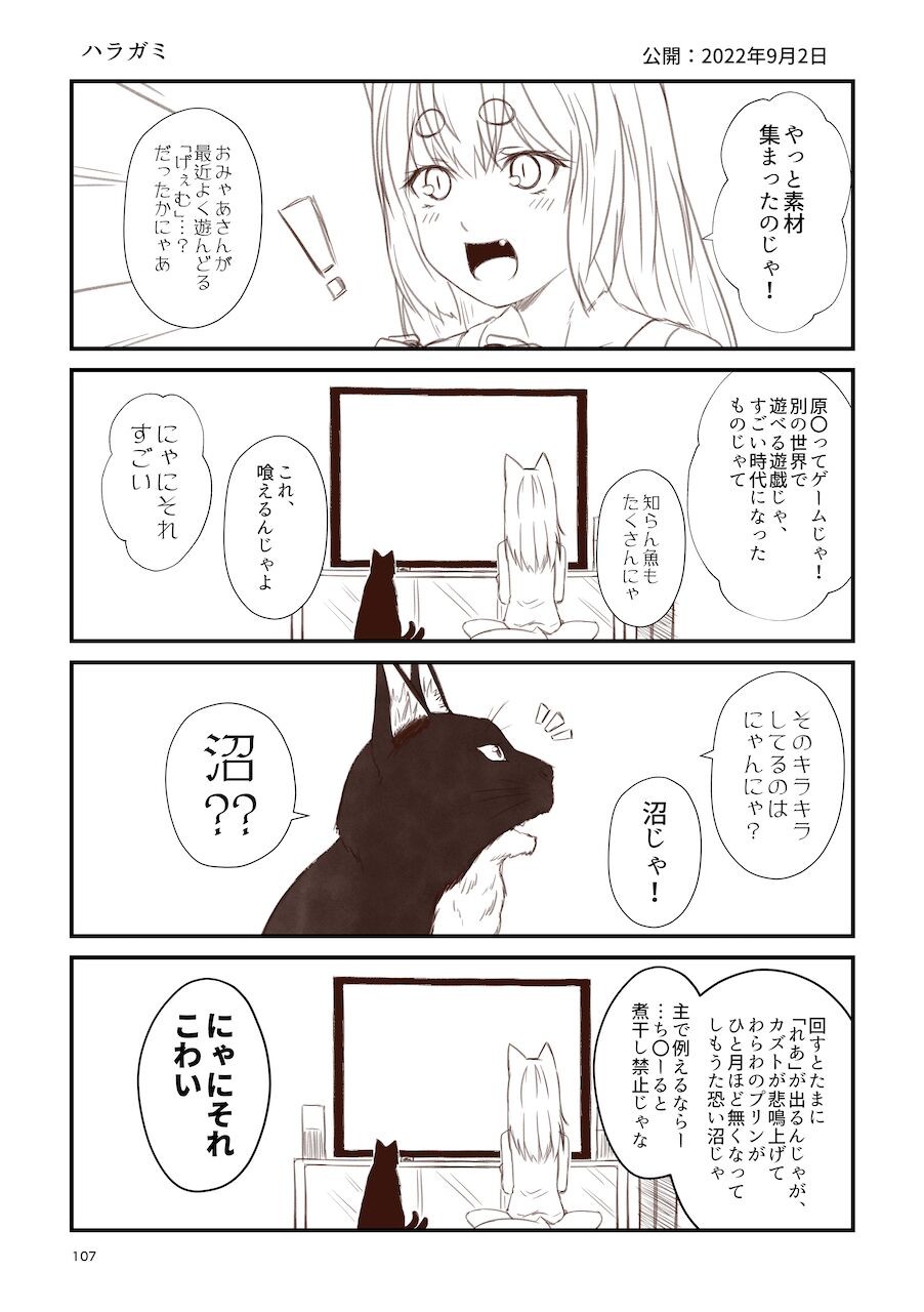 Page 107