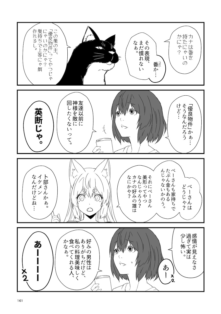 Page 161