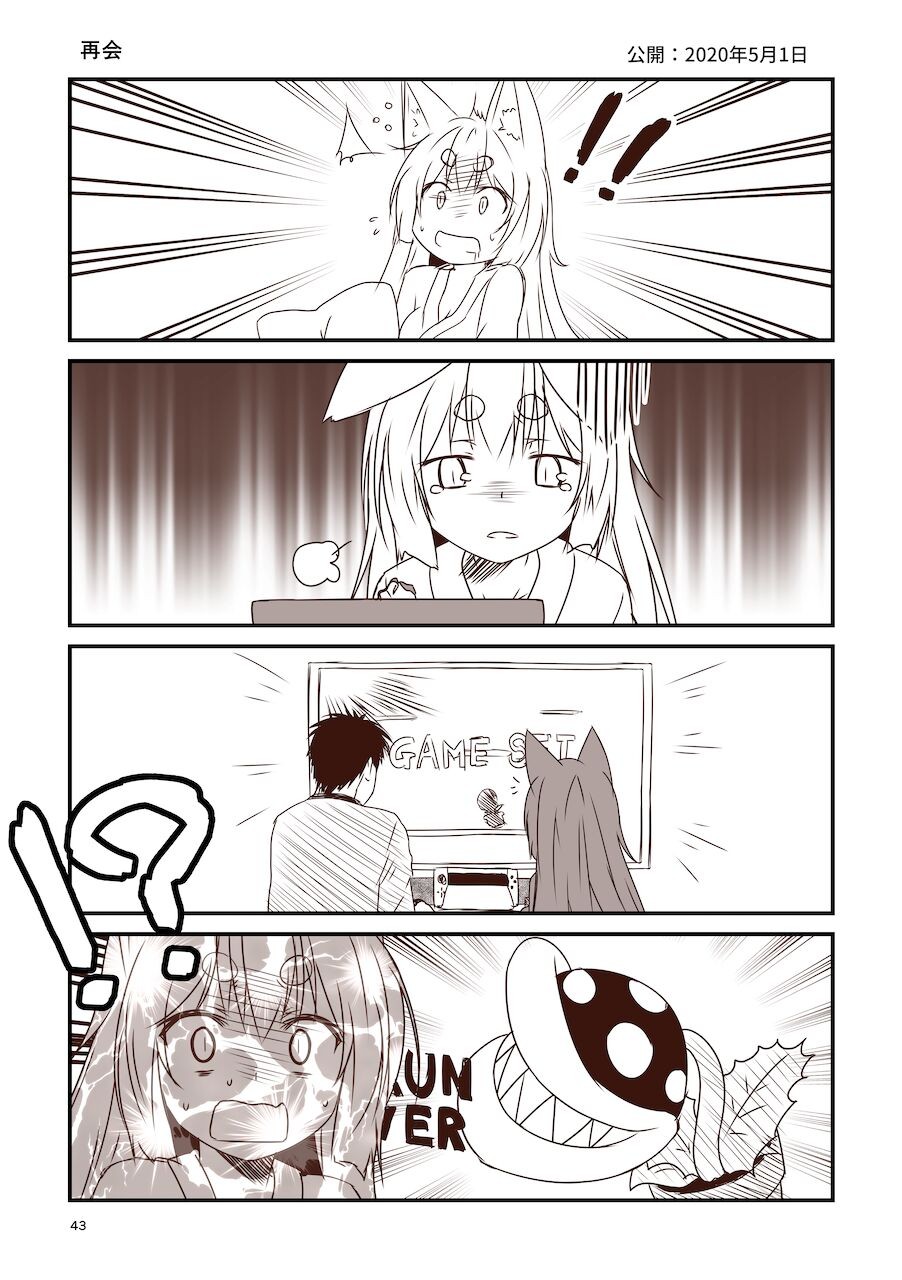 Page 43