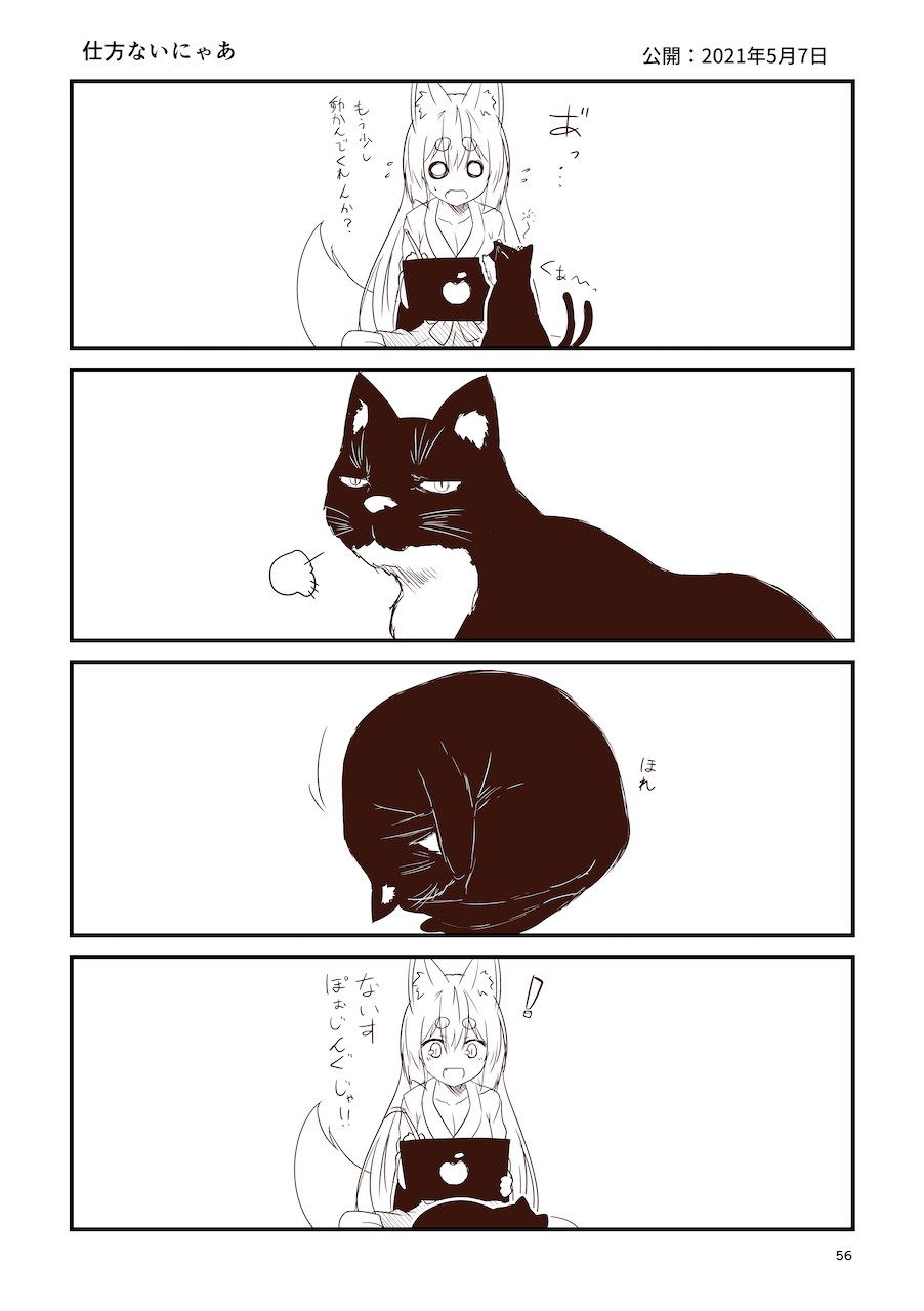 Page 56