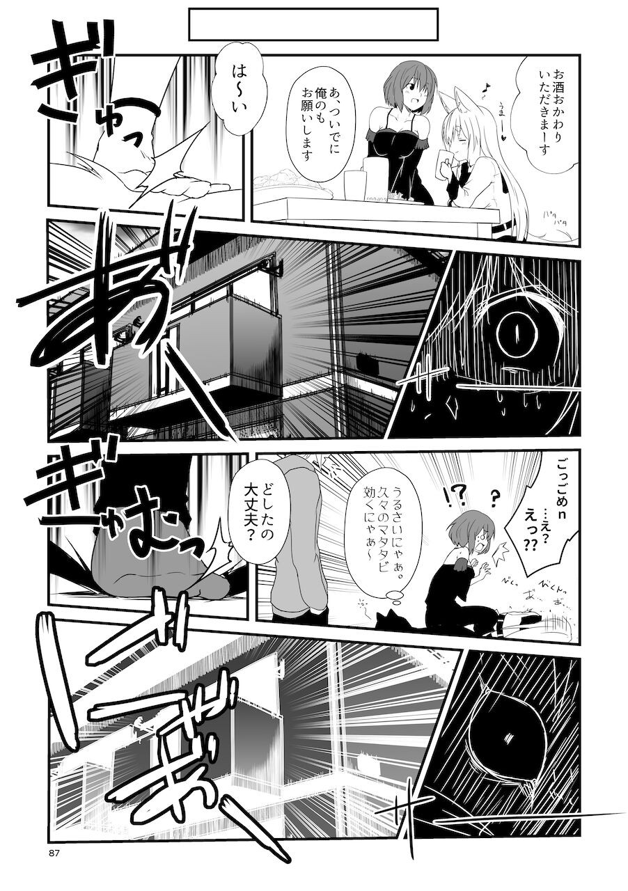 Page 87