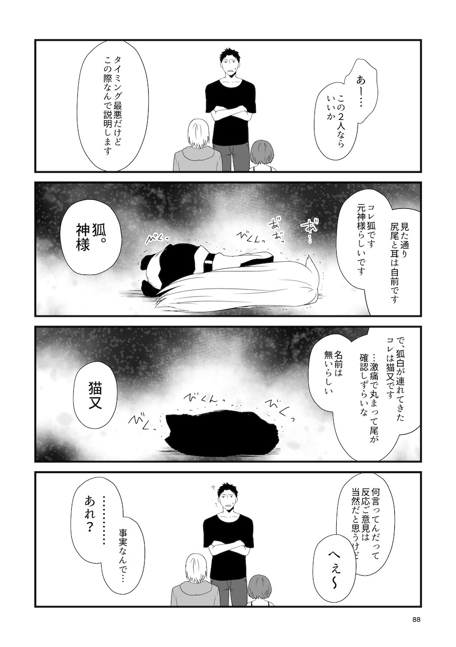 Page 88