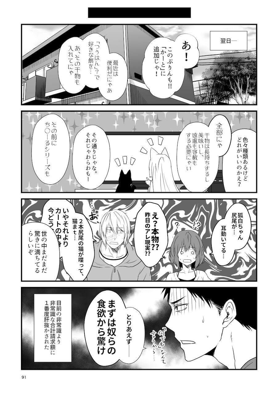 Page 91