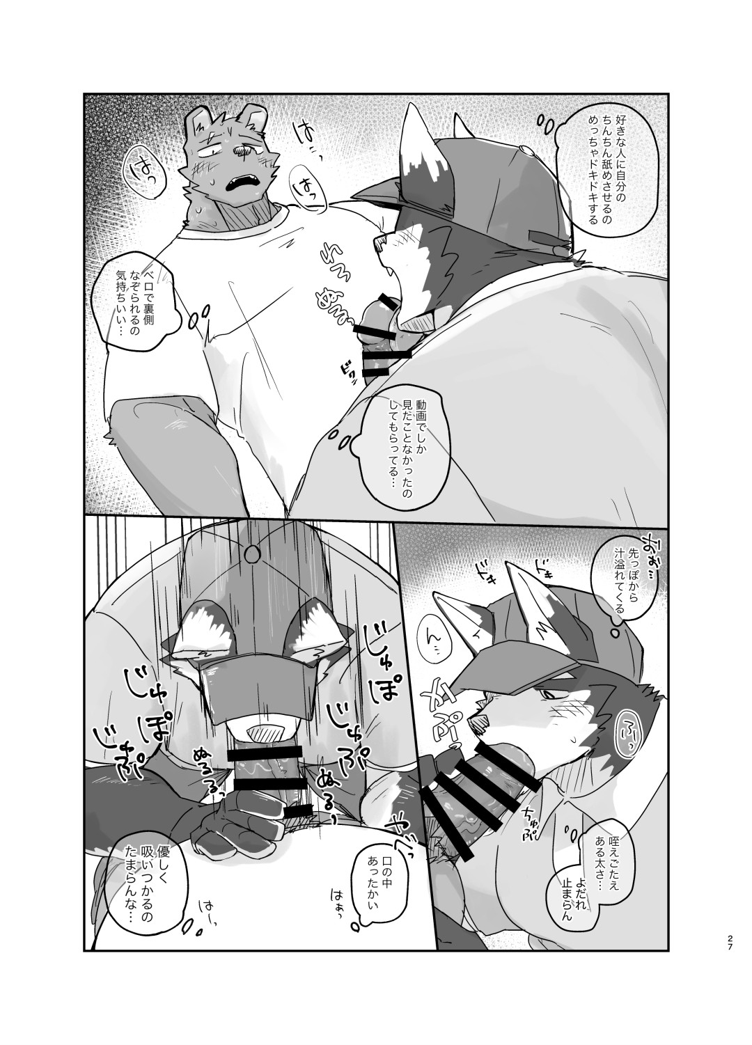 Page 27