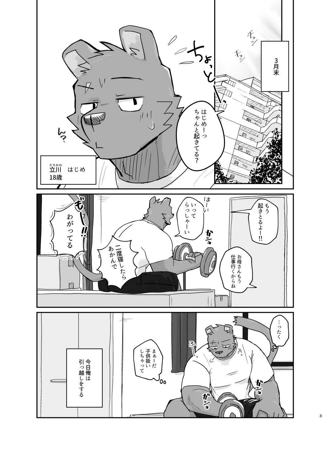 Page 3