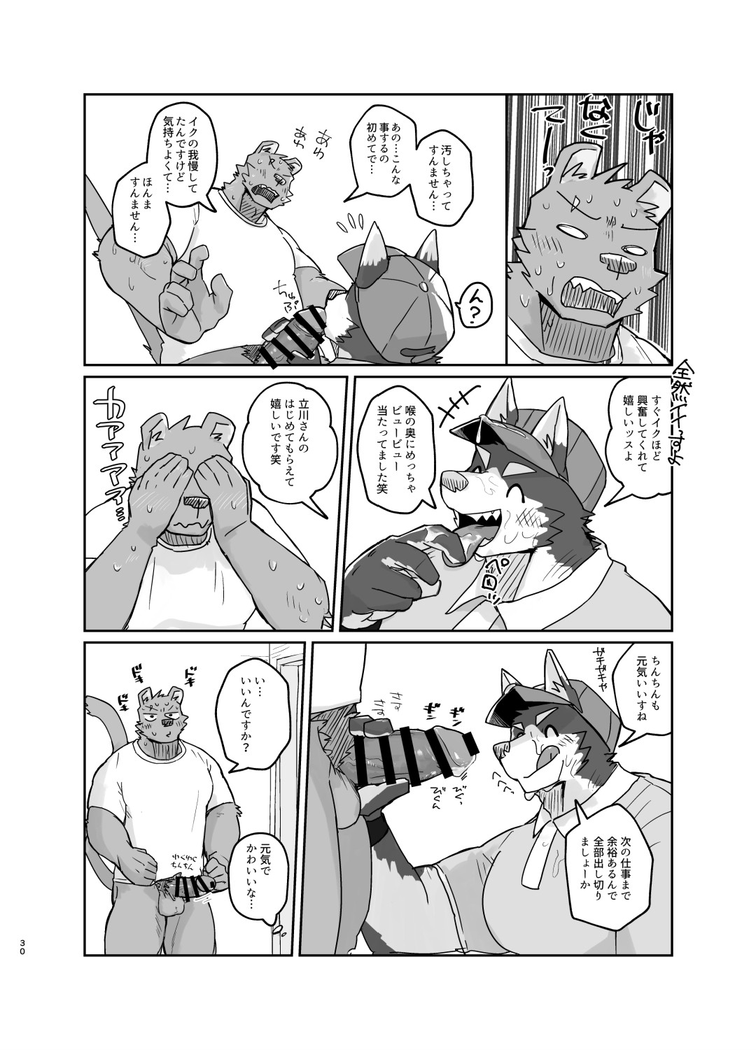Page 30