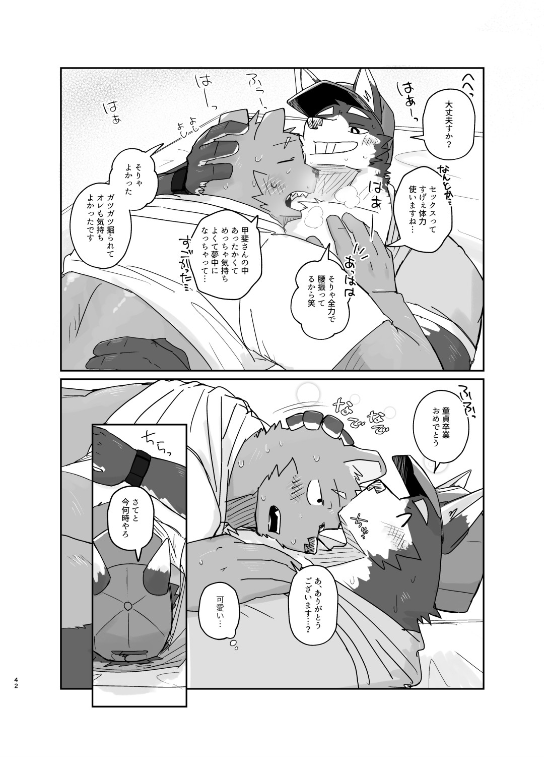 Page 42