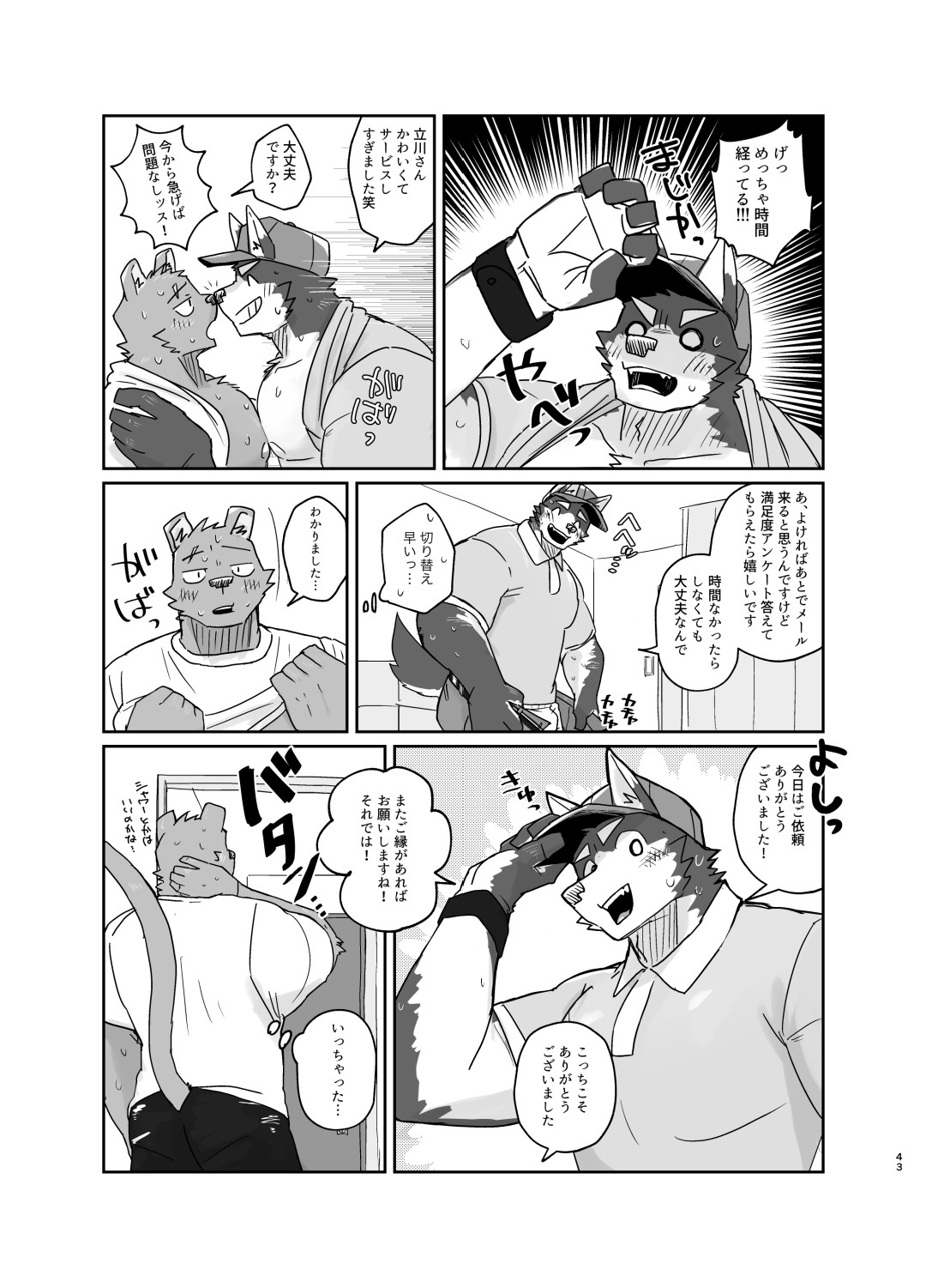 Page 43