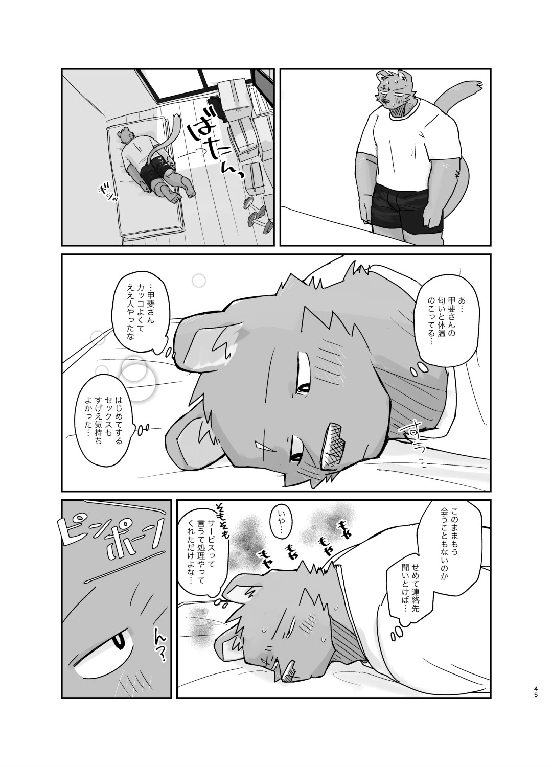 Page 45
