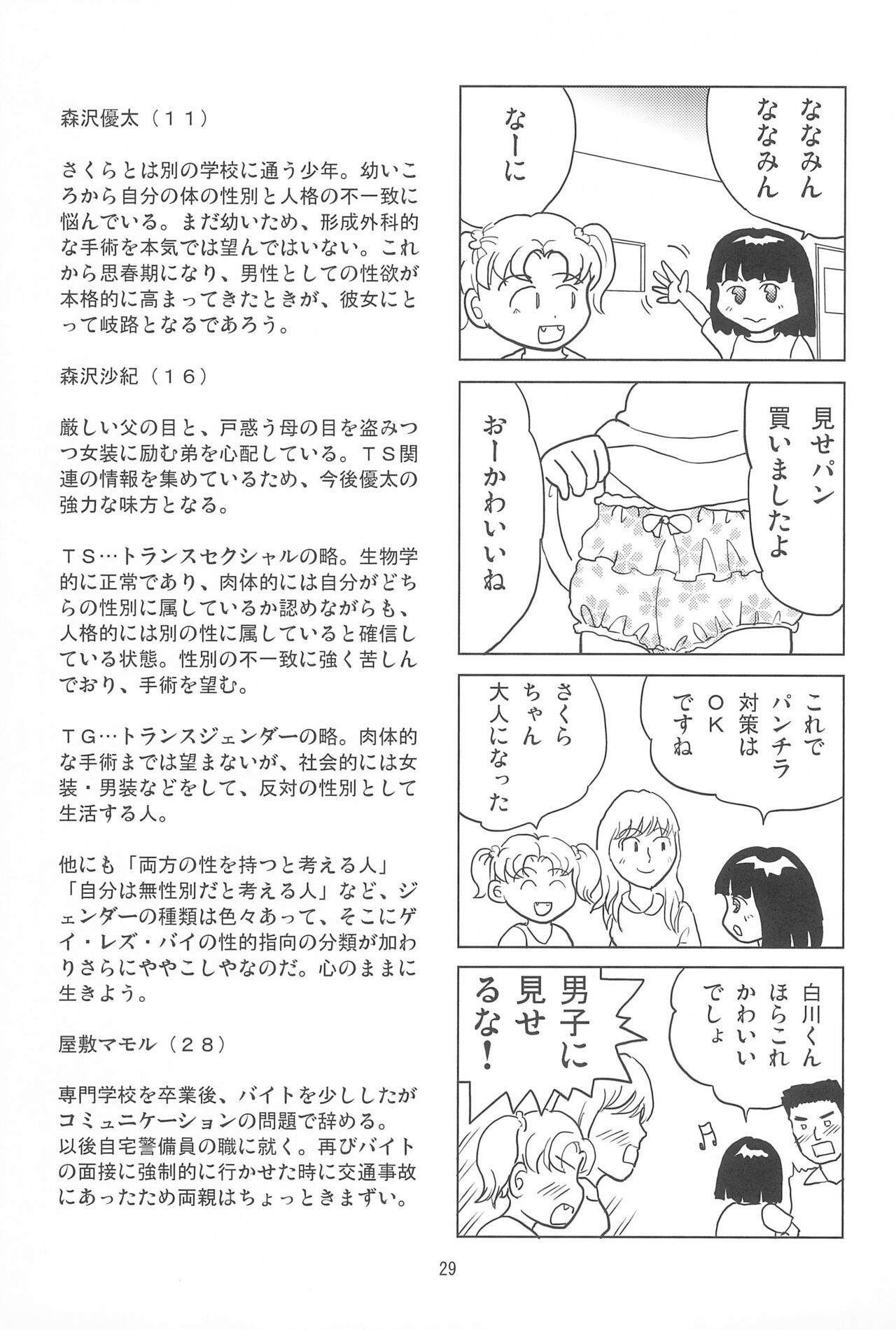 Page 29