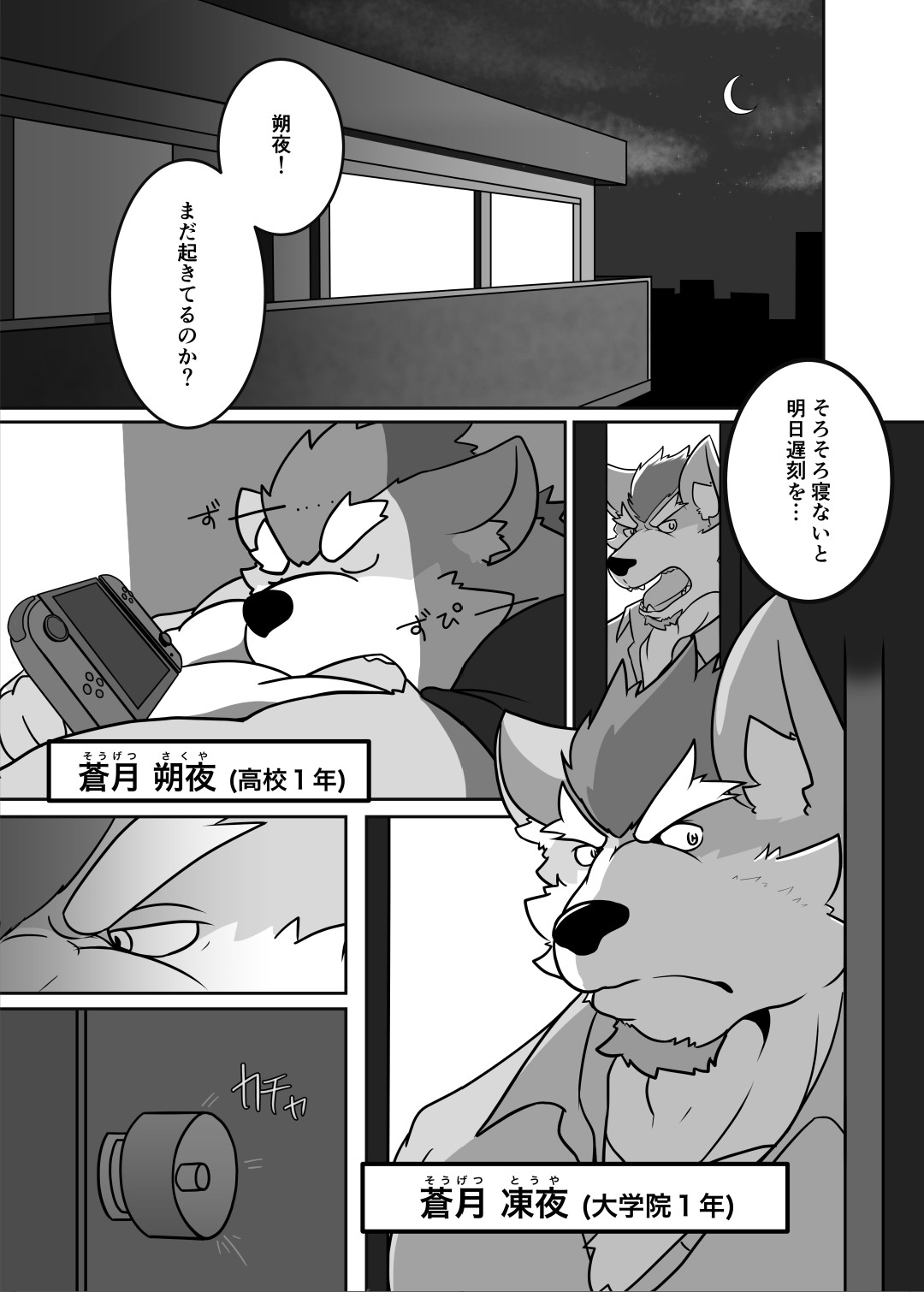 Page 3