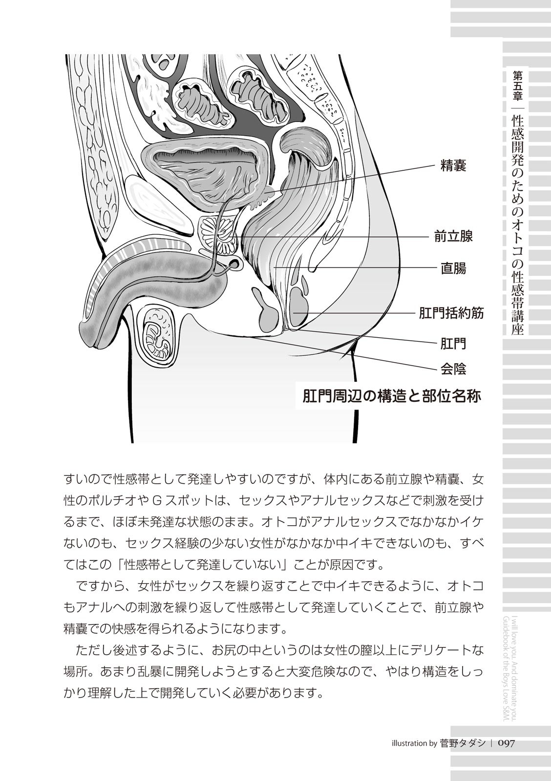 Page 97