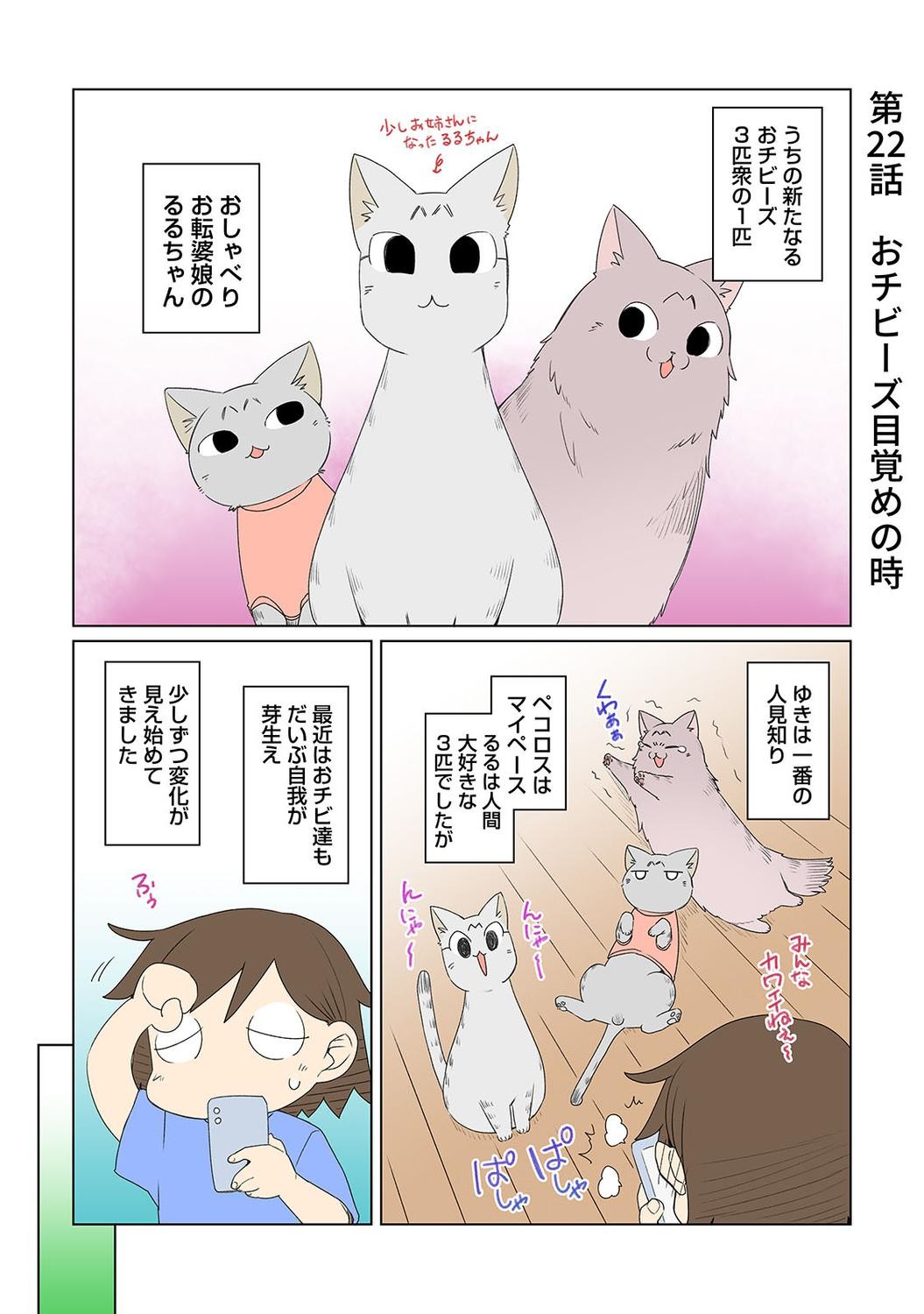 Page 331