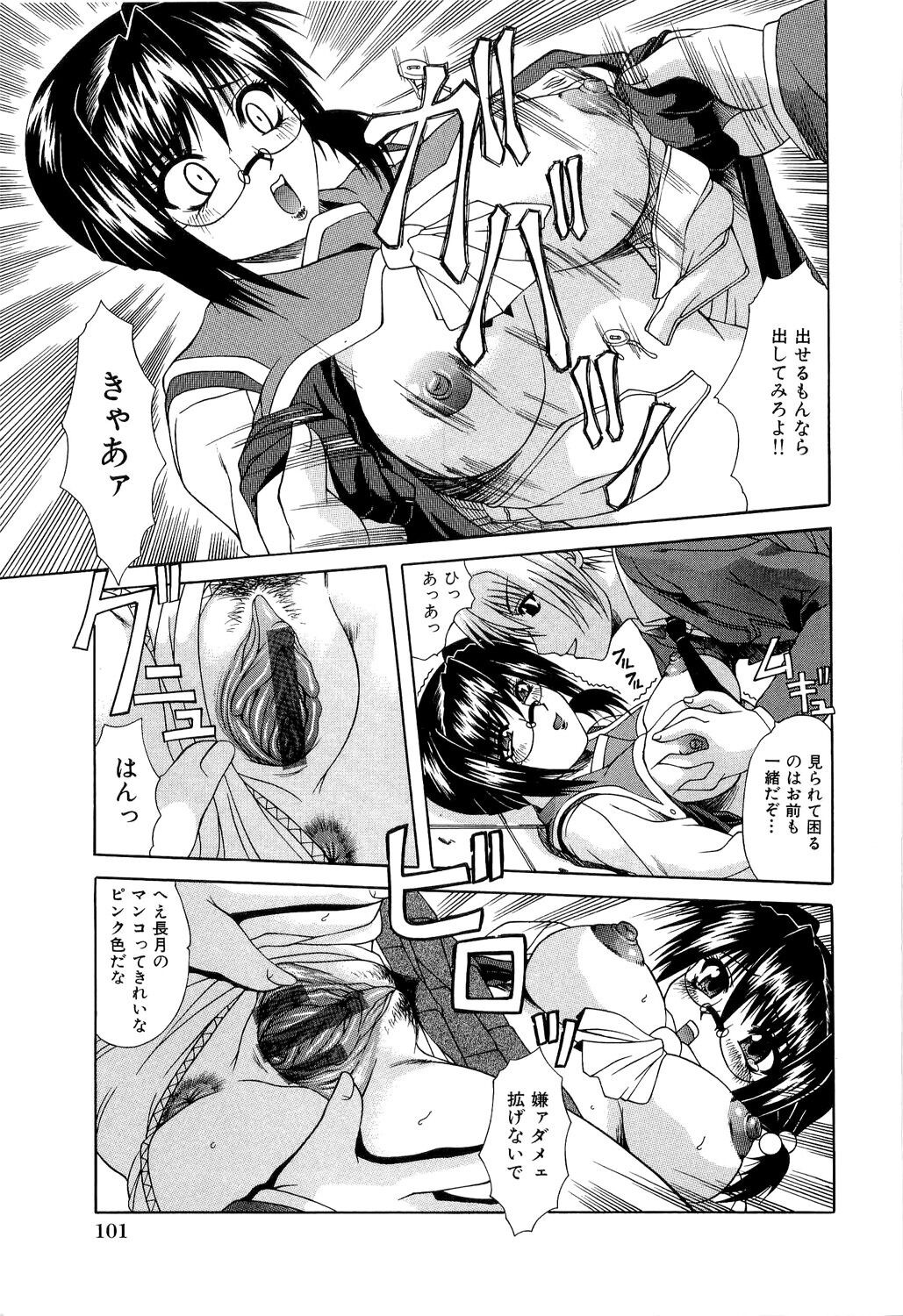 Page 101