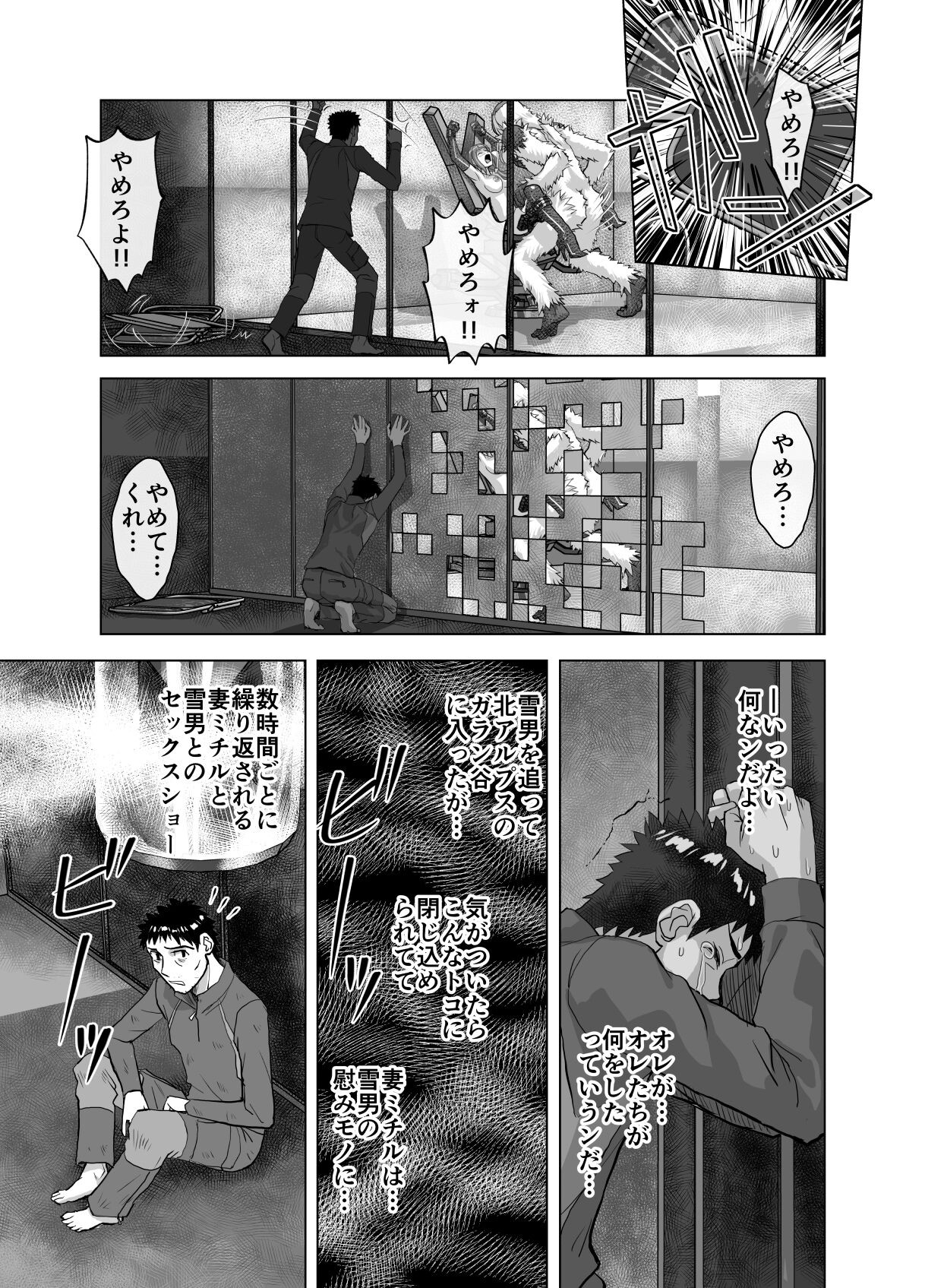 Page 529