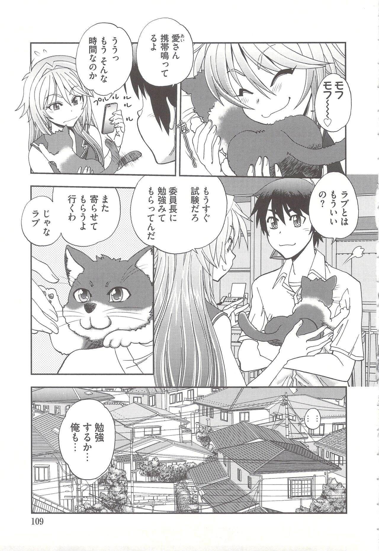 Page 111