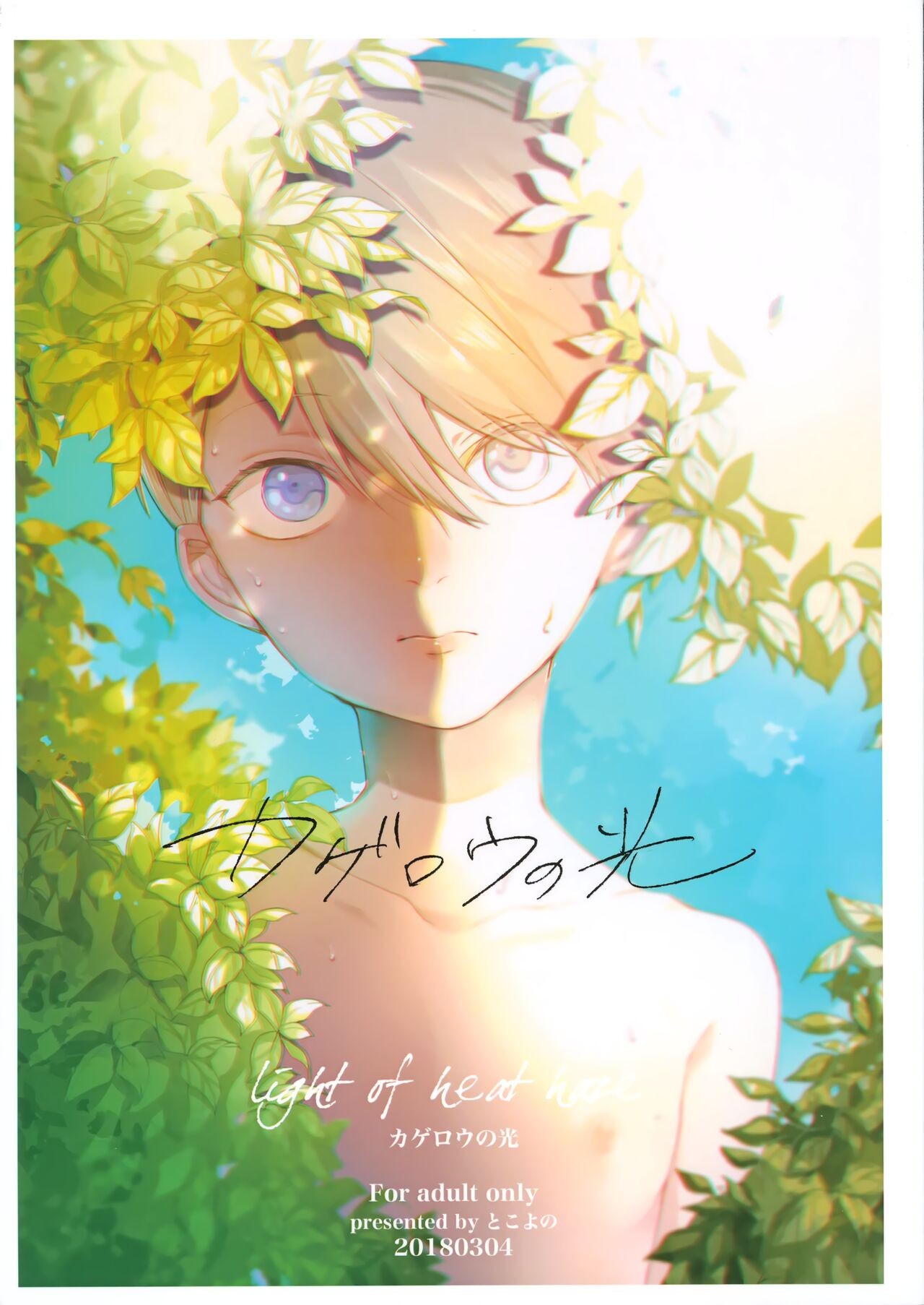 (J.GARDEN44) カゲロウの光