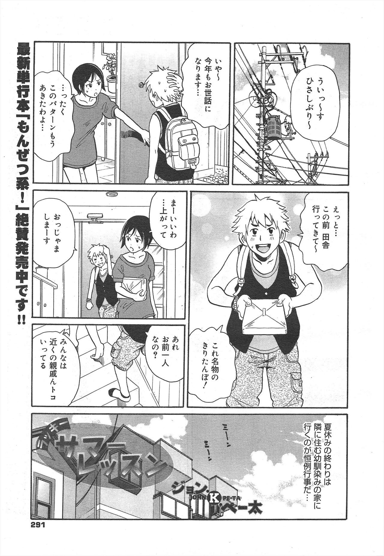 Page 291