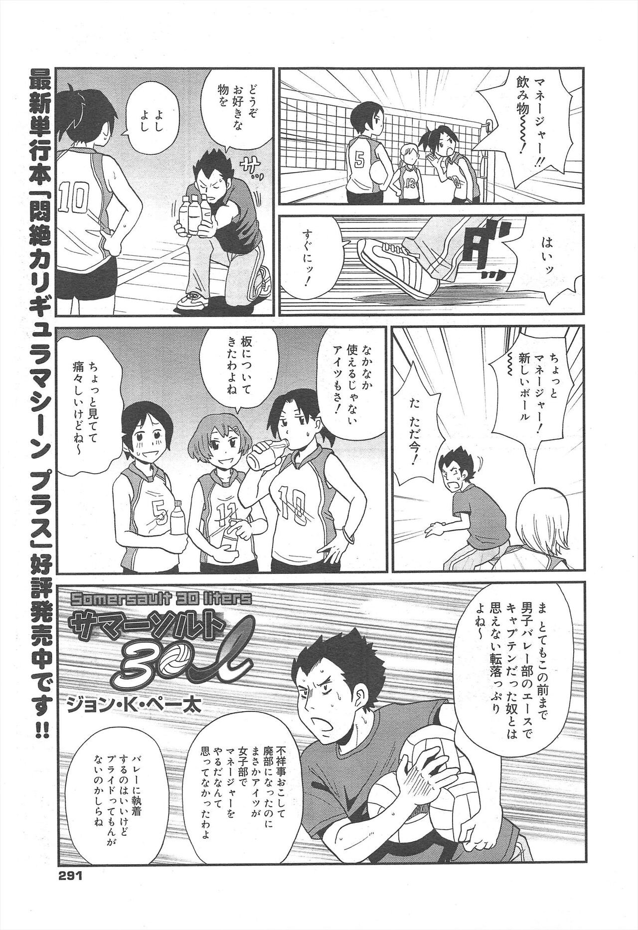 Page 291