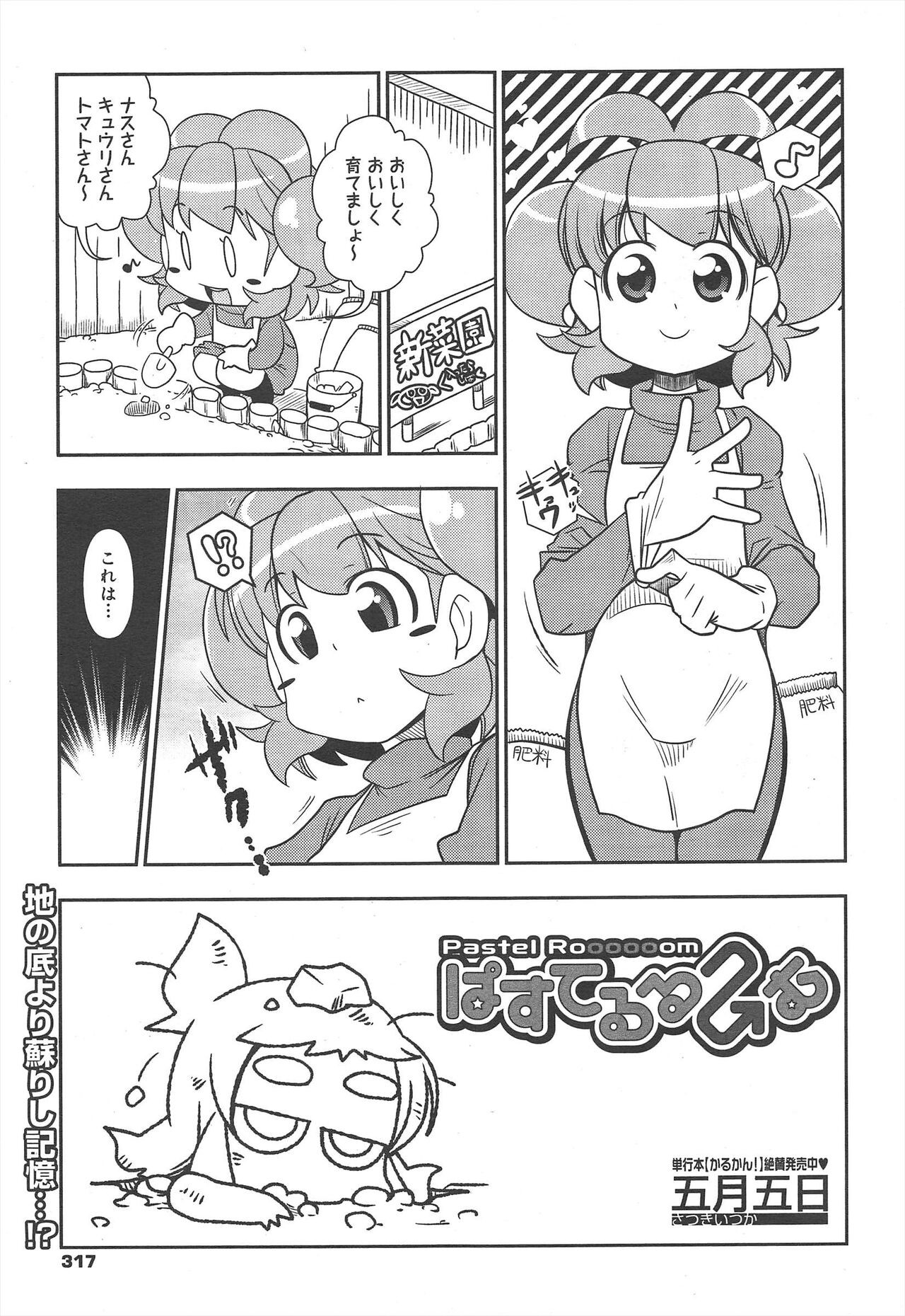 Page 317