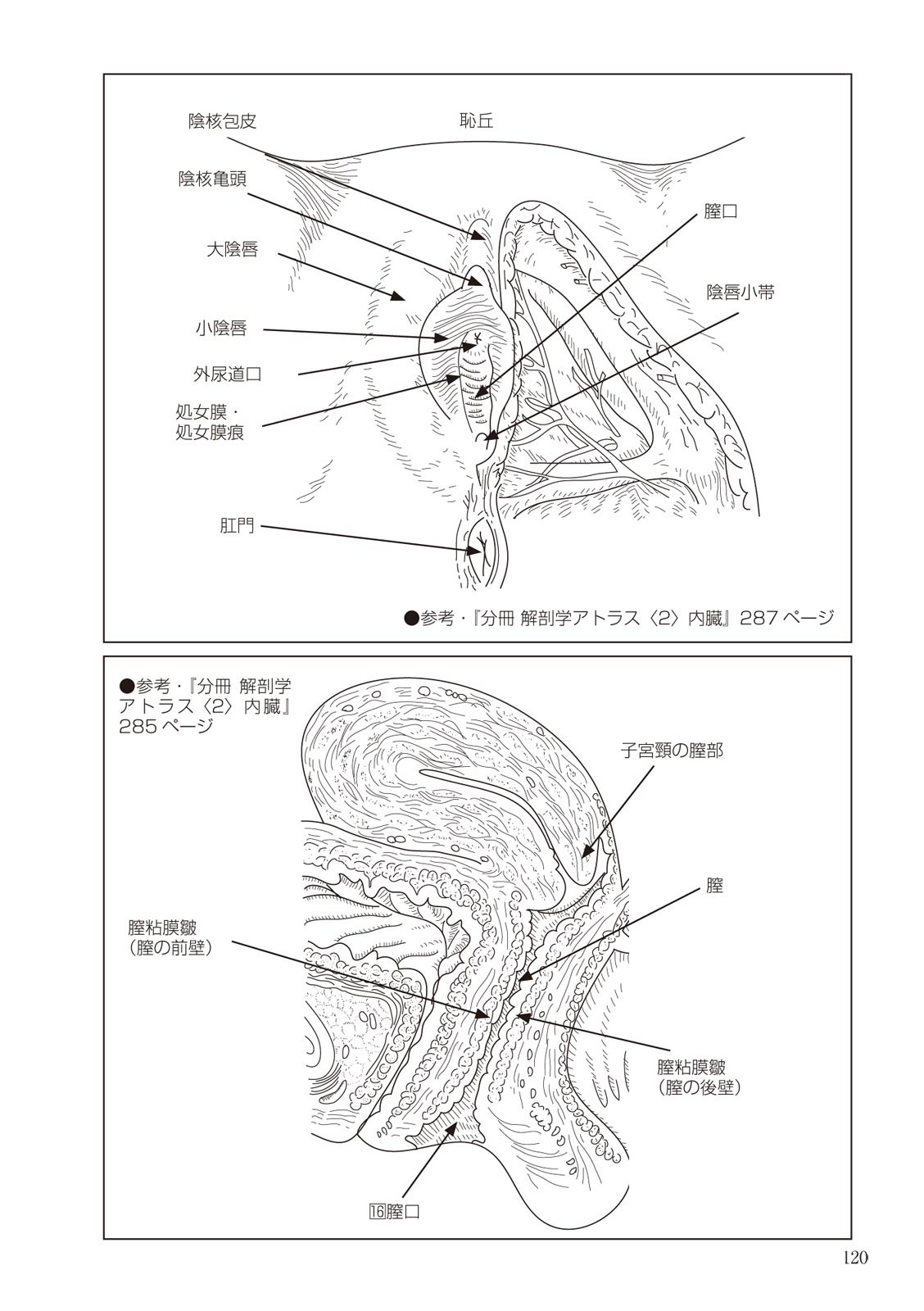 Page 120