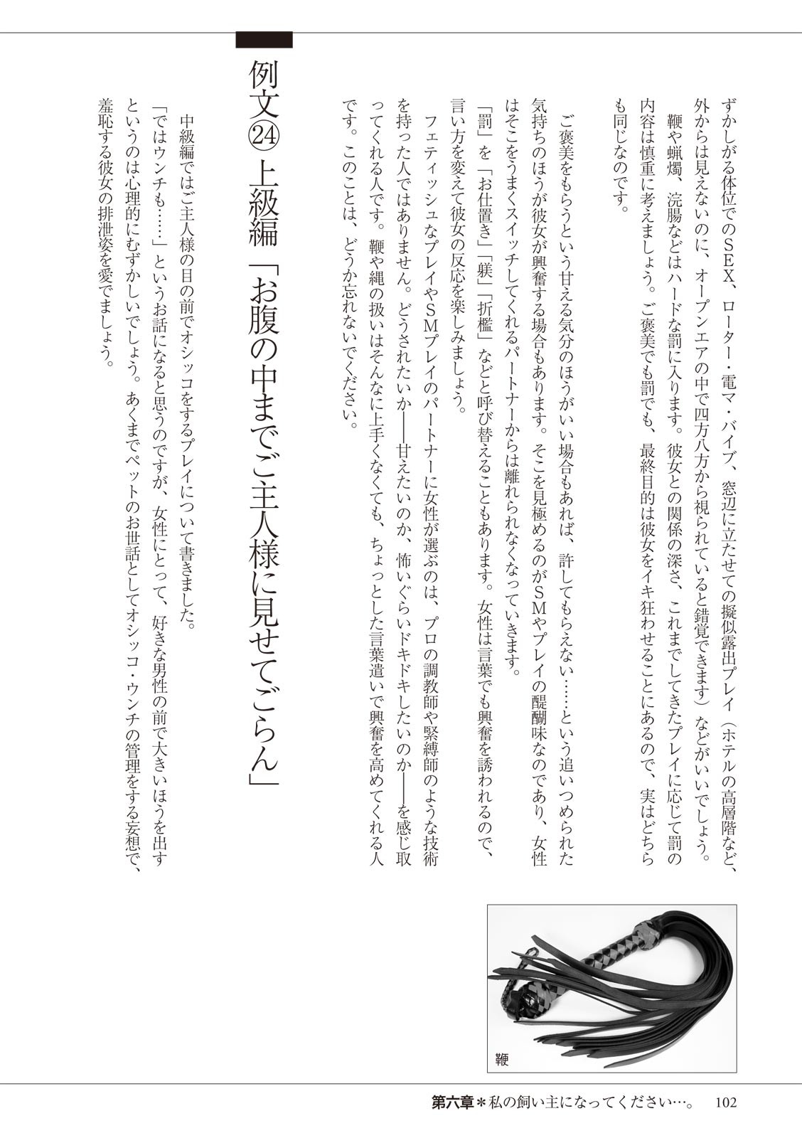 Page 102