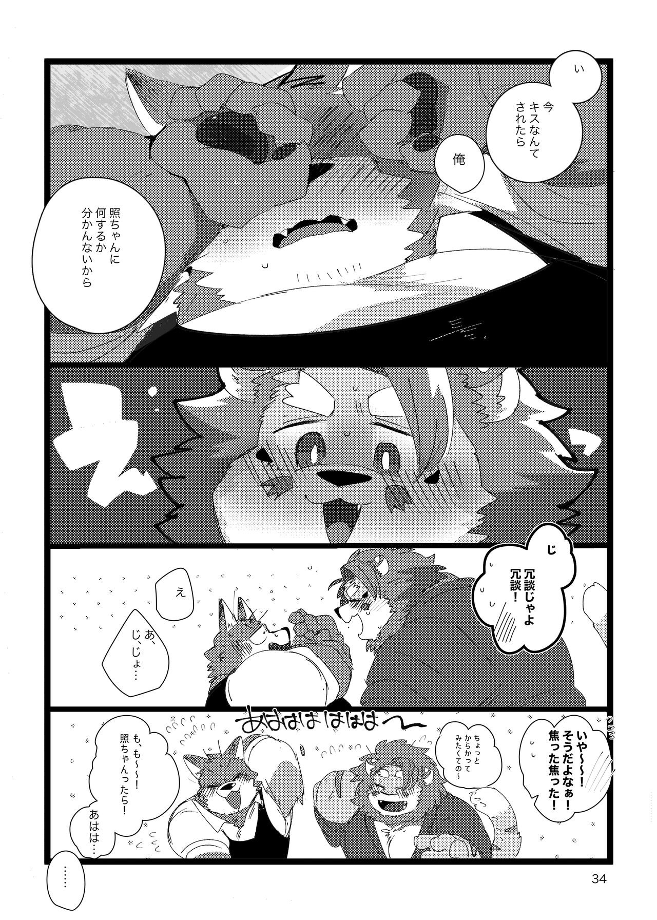 Page 33