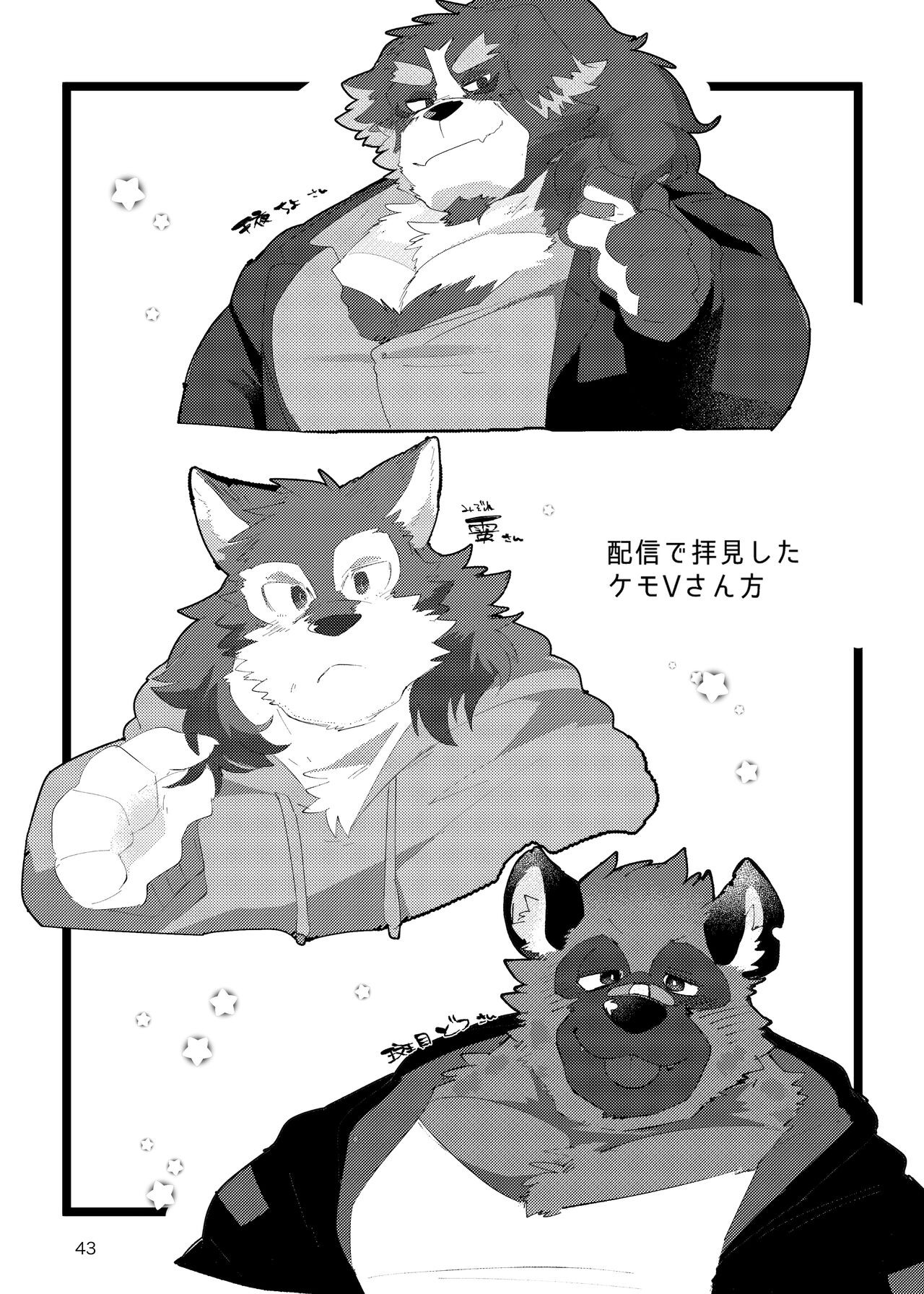 Page 42