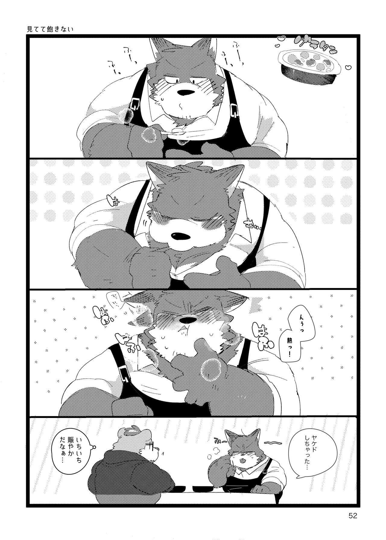 Page 51