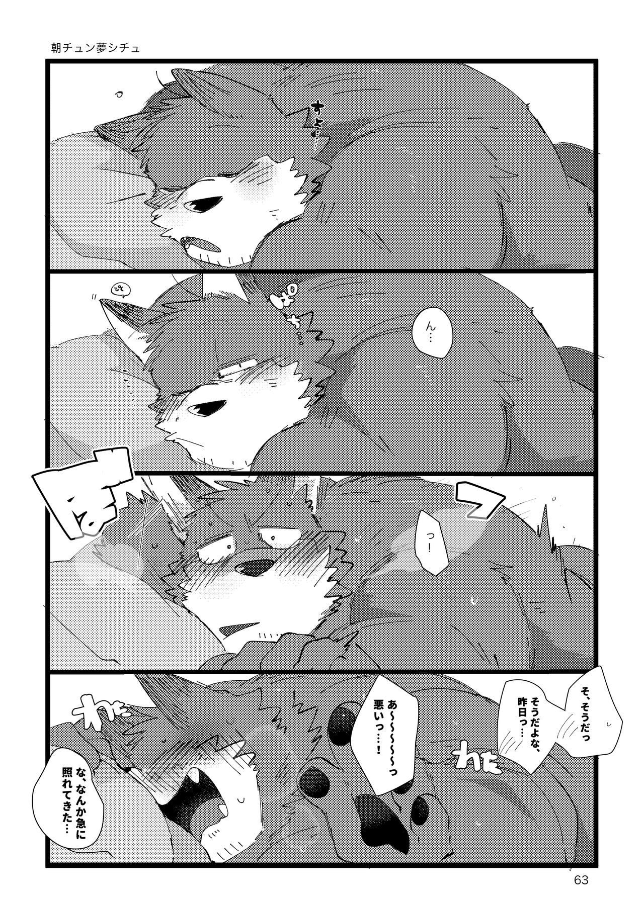 Page 62