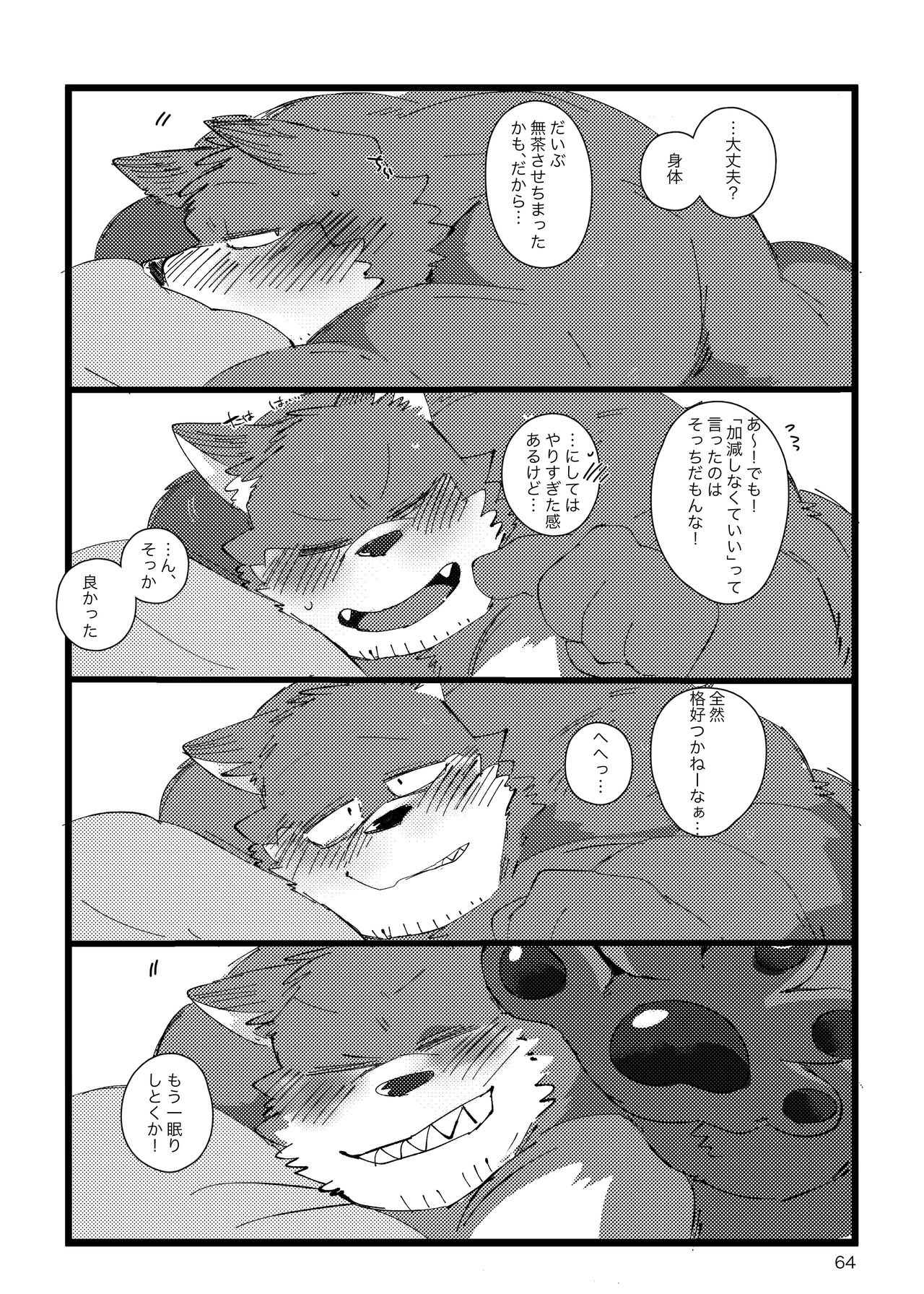 Page 63