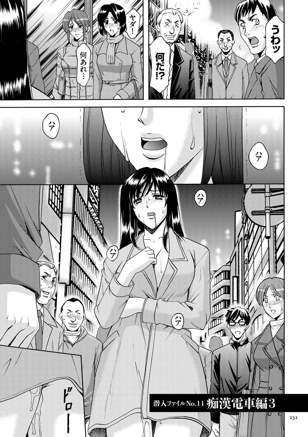 Page 231