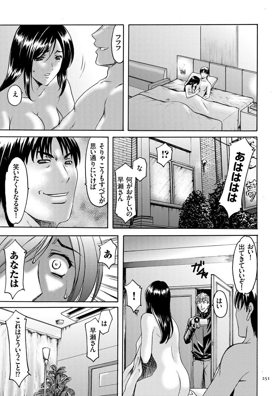 Page 251