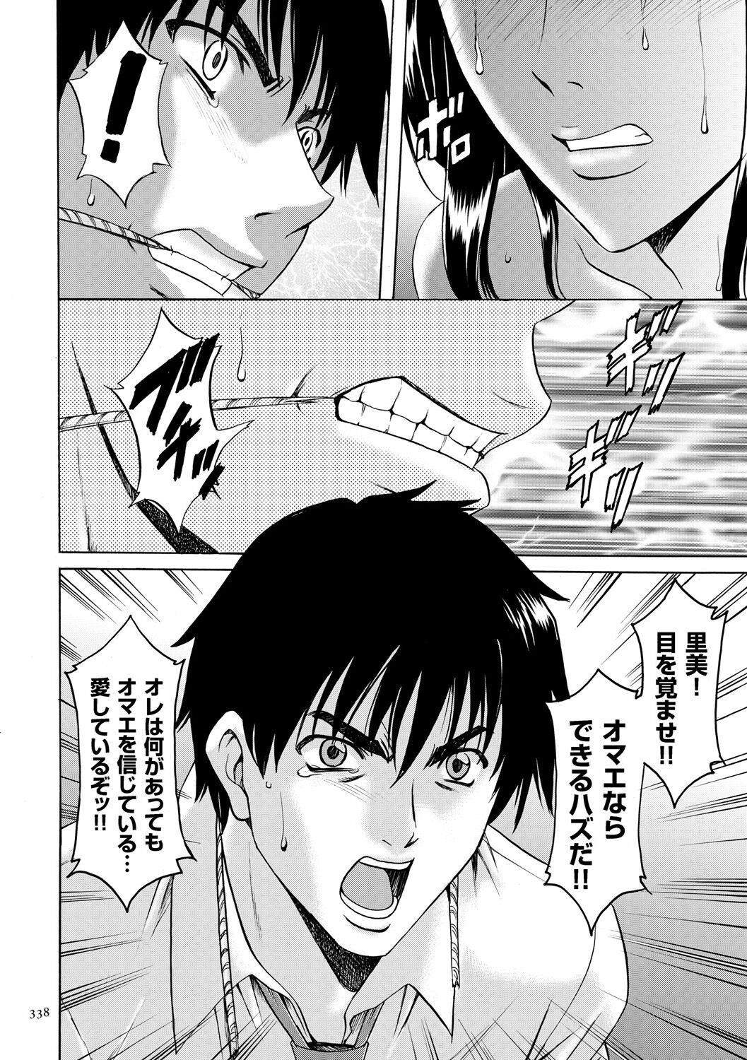 Page 338