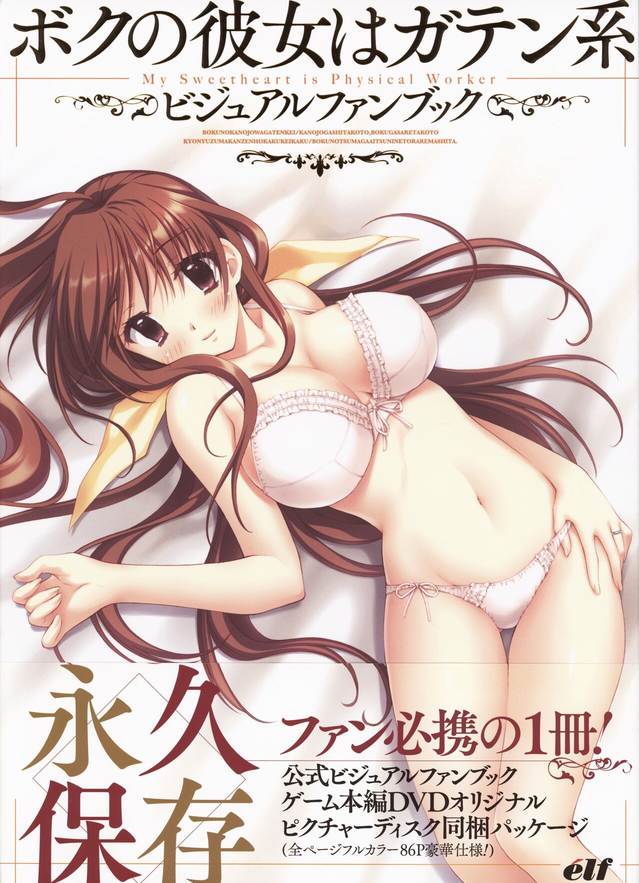 ボクの彼女はガテン系 ビジュアルファンブック