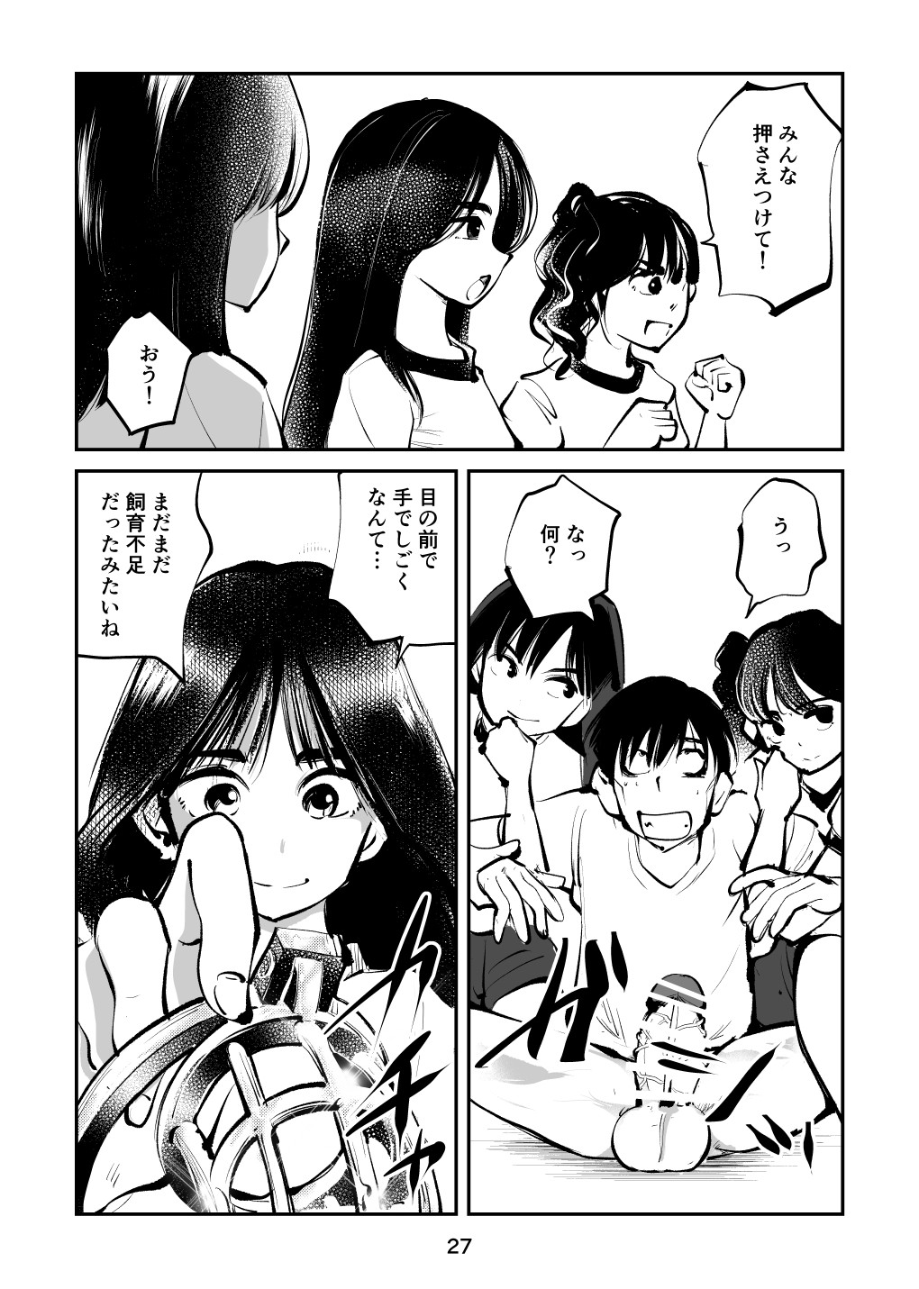 Page 27