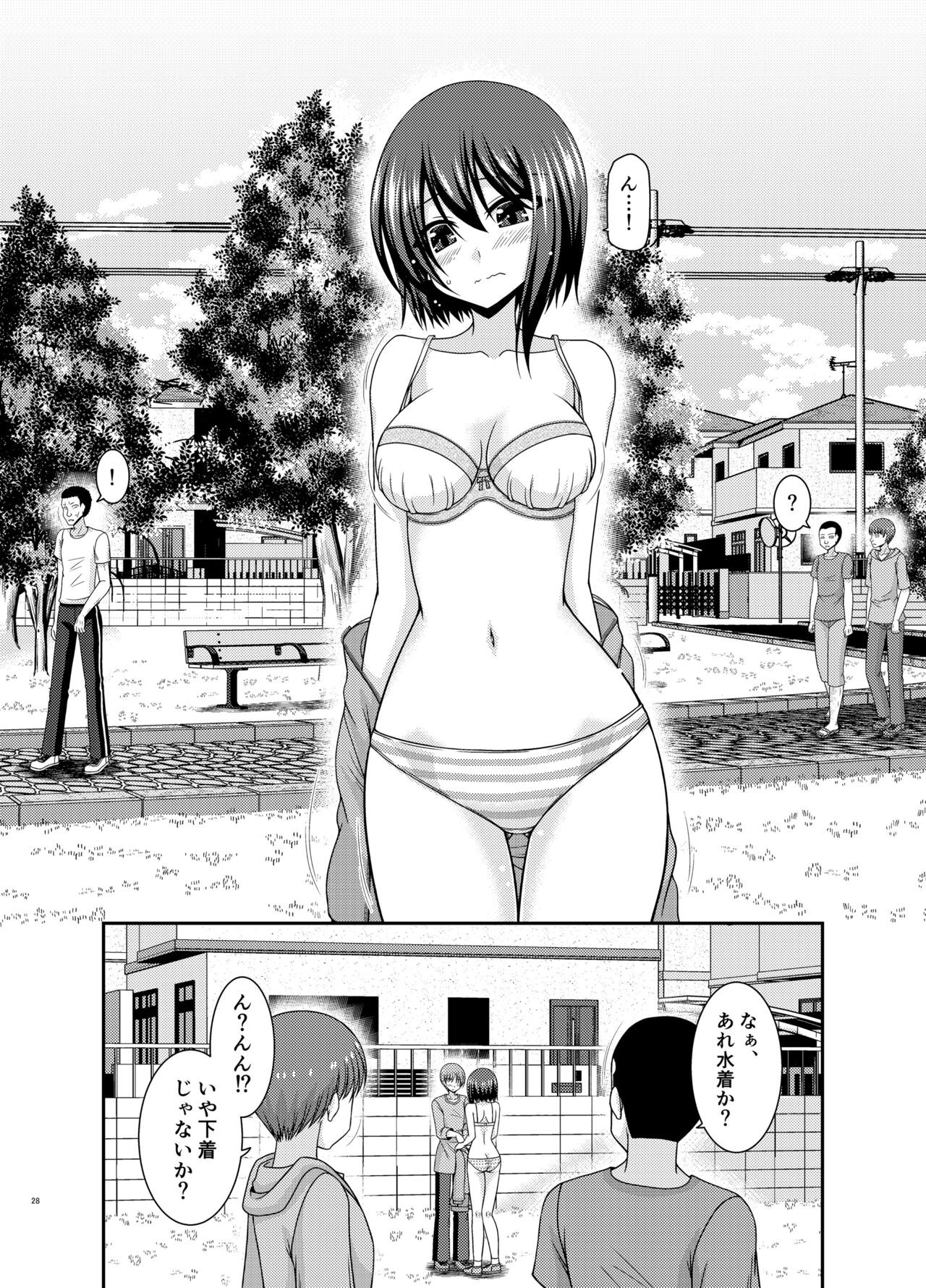 Page 27
