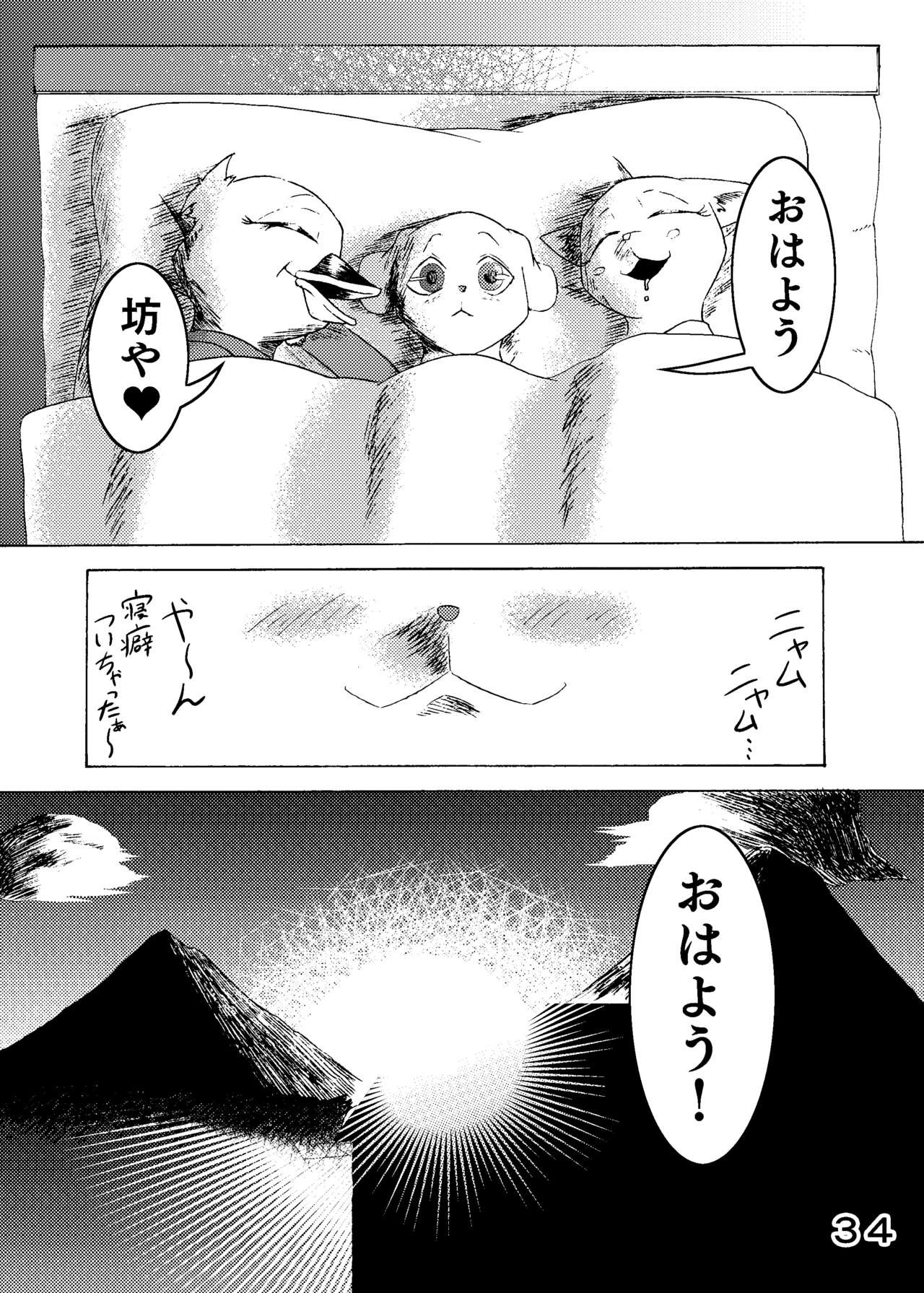 Page 36