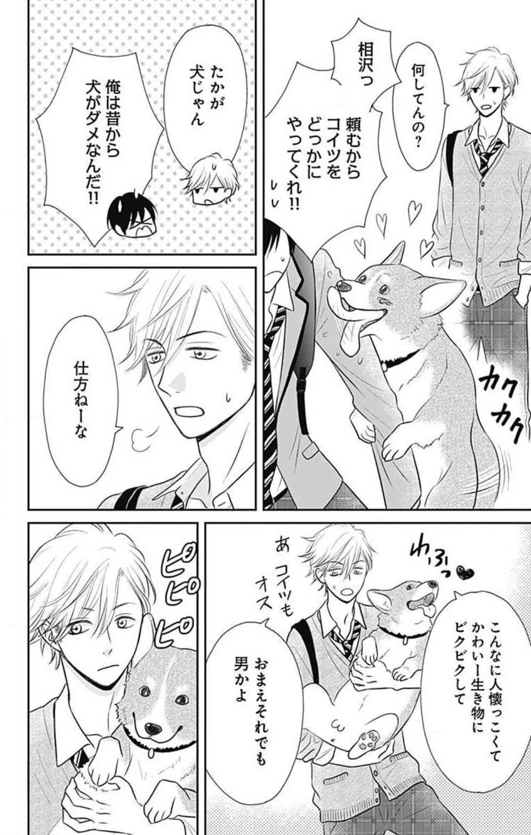 Page 51