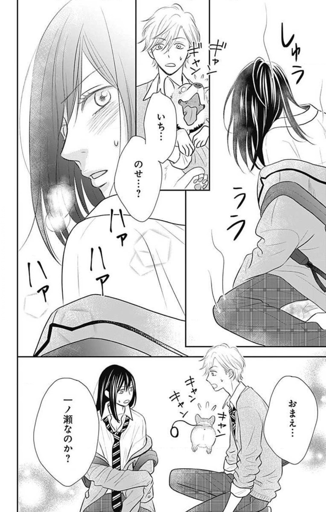Page 55