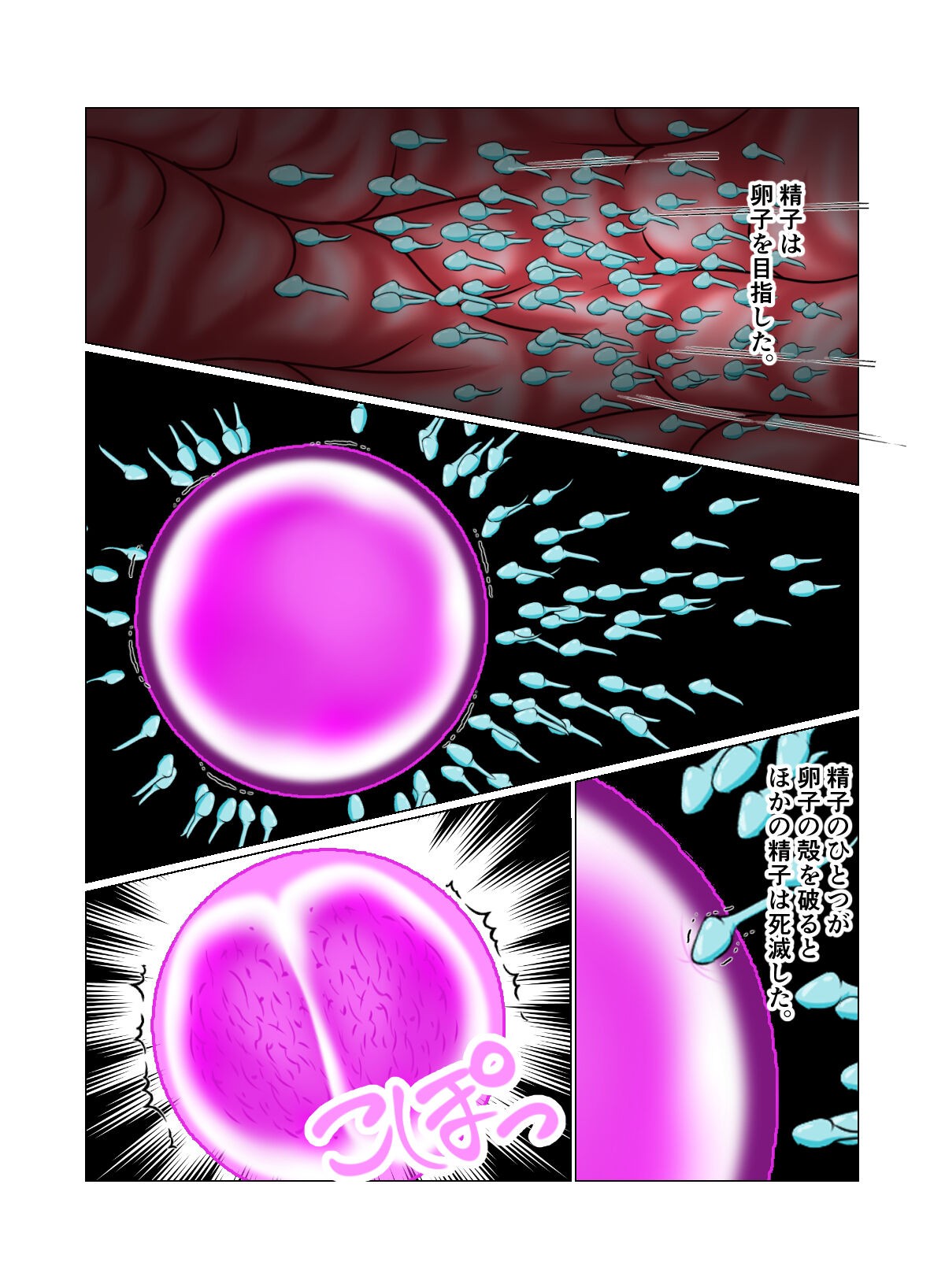 Page 51