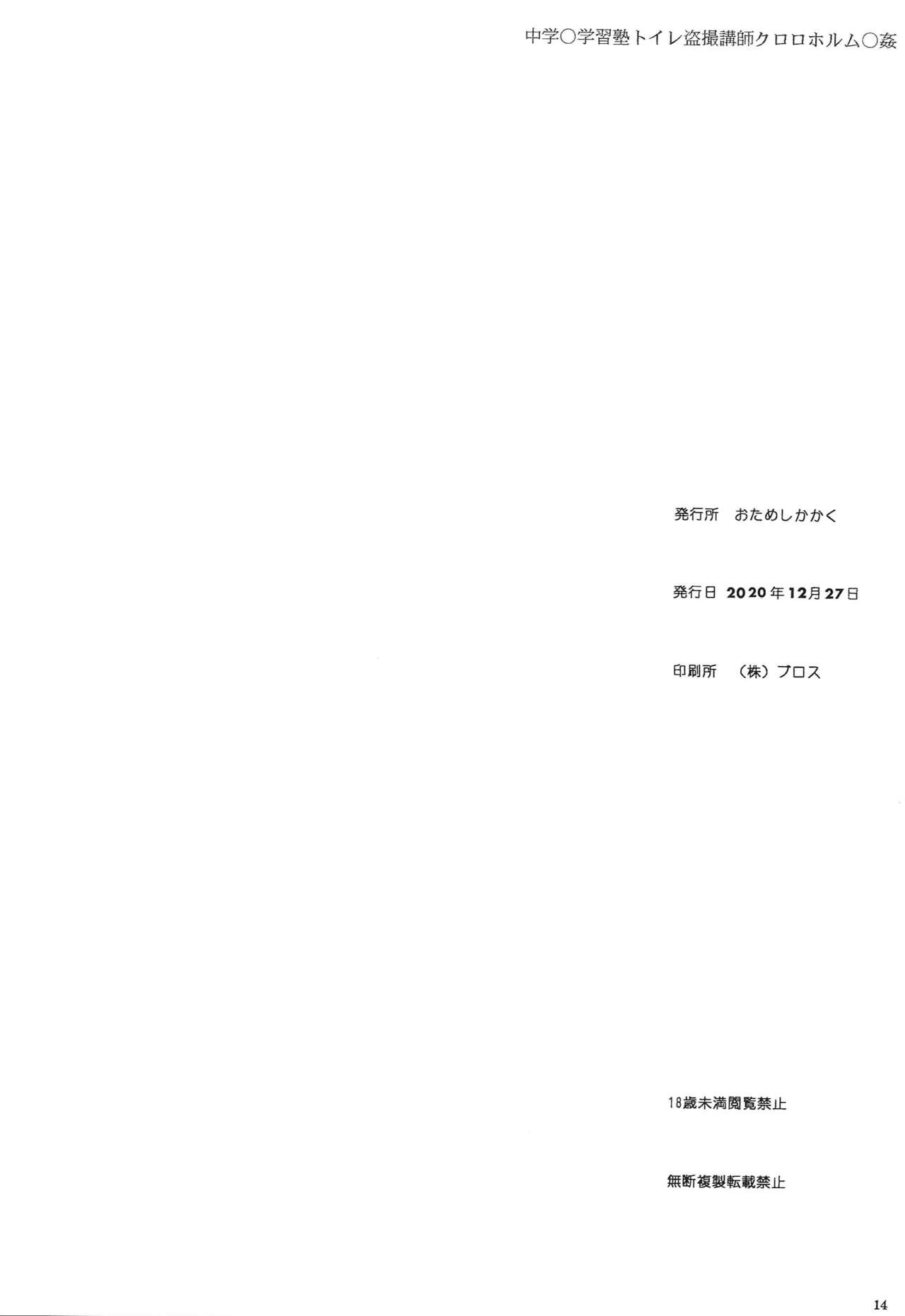 Page 13