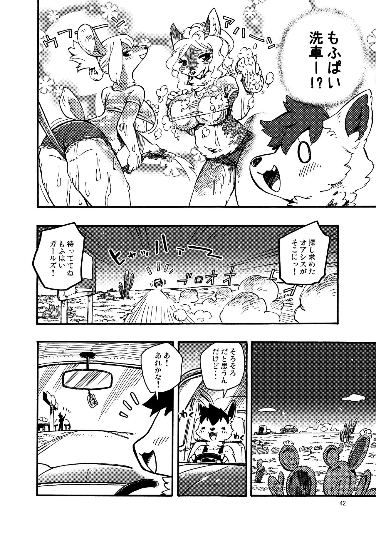 Page 42